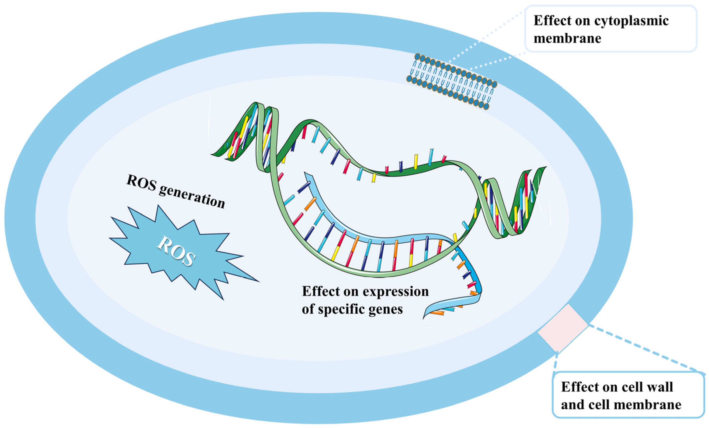 Plants 13 02492 g005 Plants 13 02492 g005