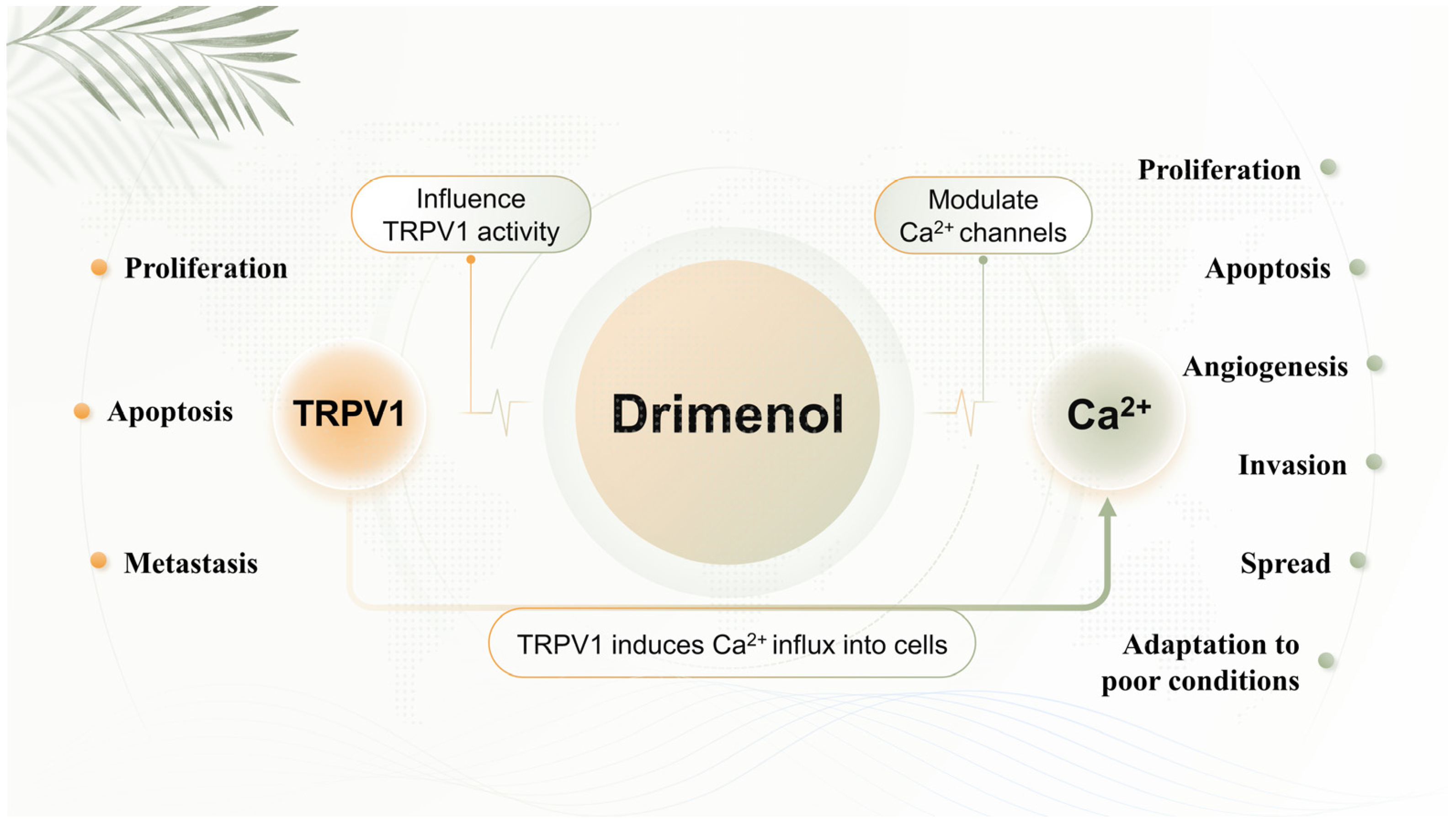 Plants 13 02492 g007 Plants 13 02492 g007