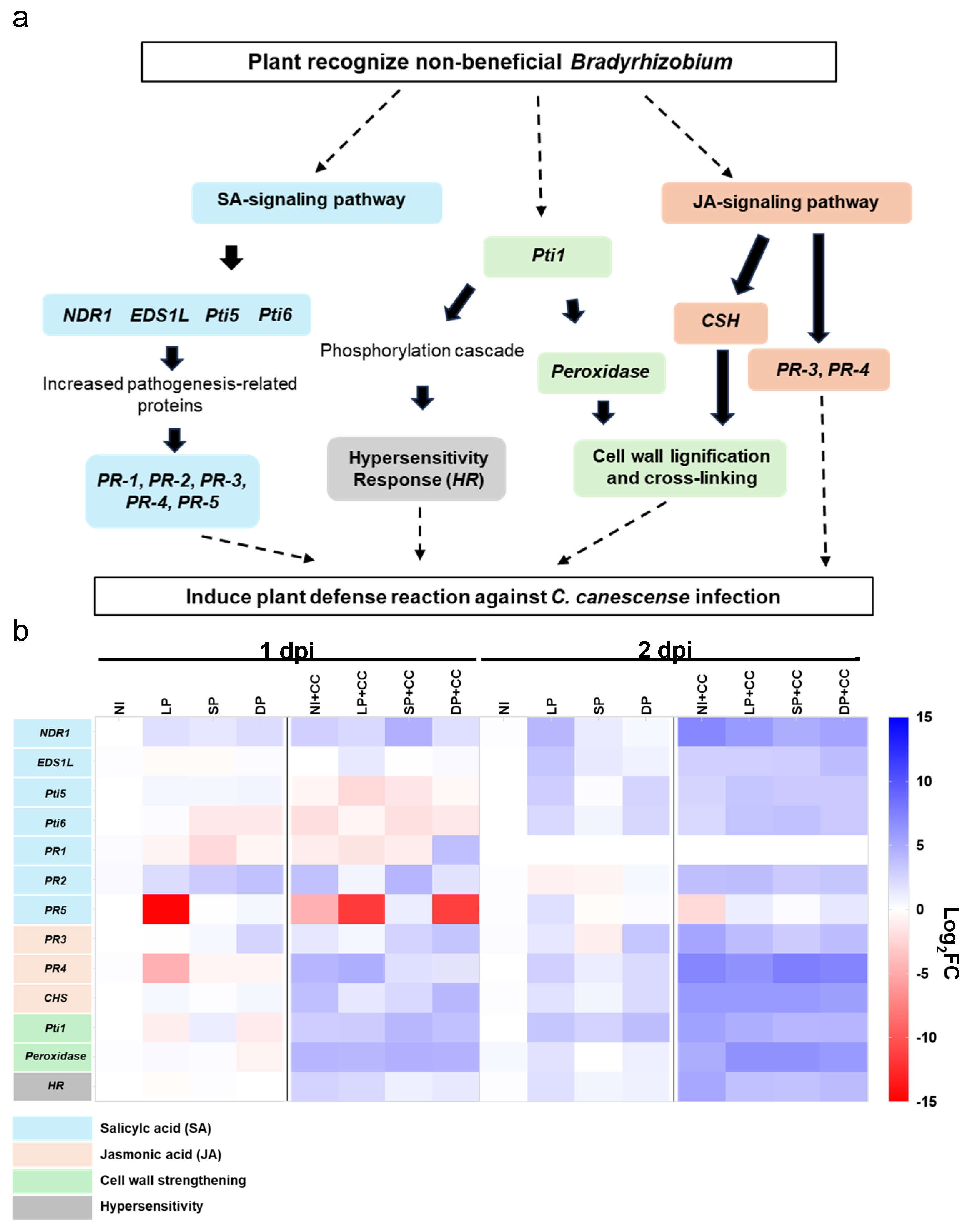 Plants 13 02495 g002