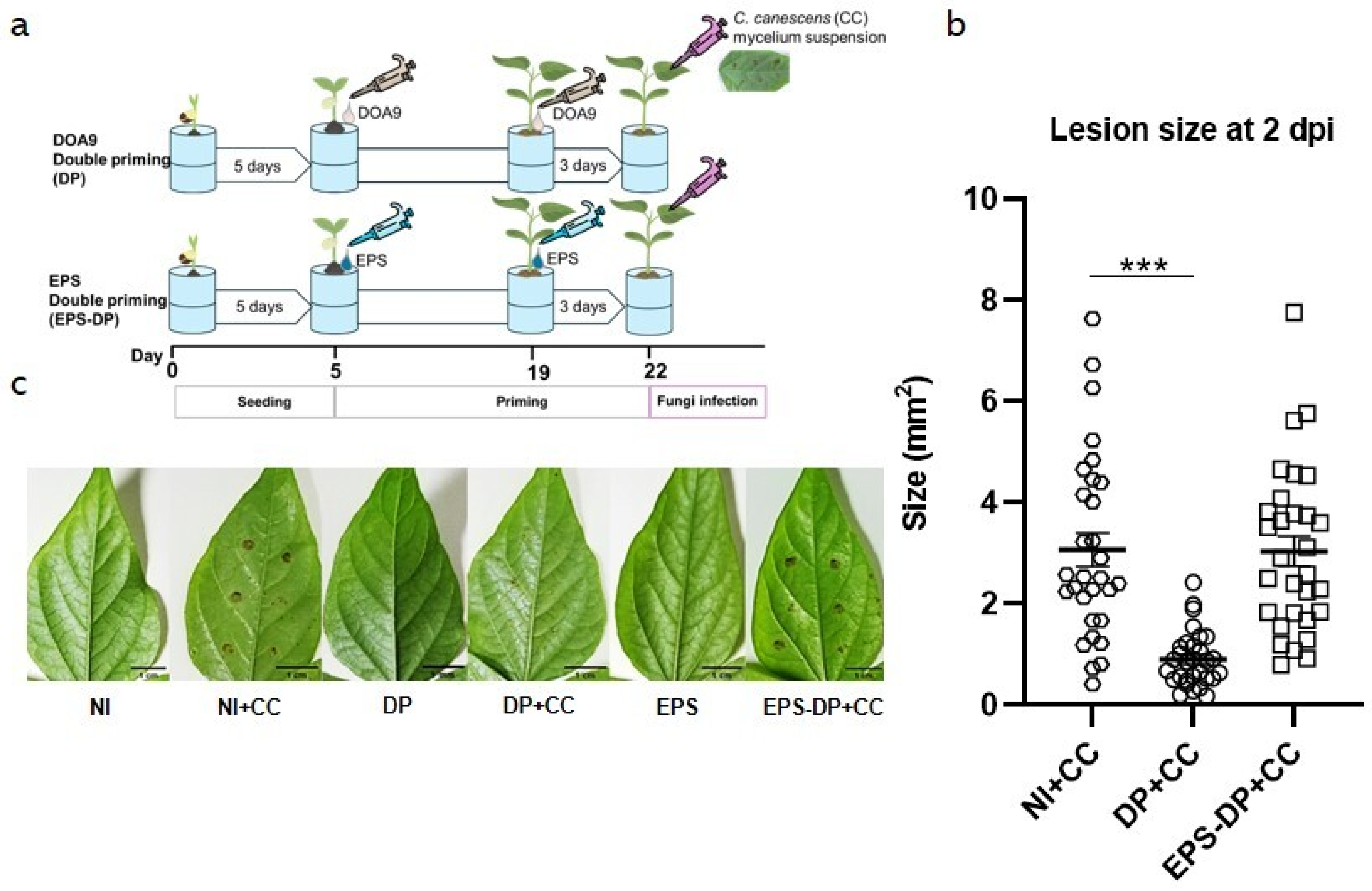 Plants 13 02495 g005