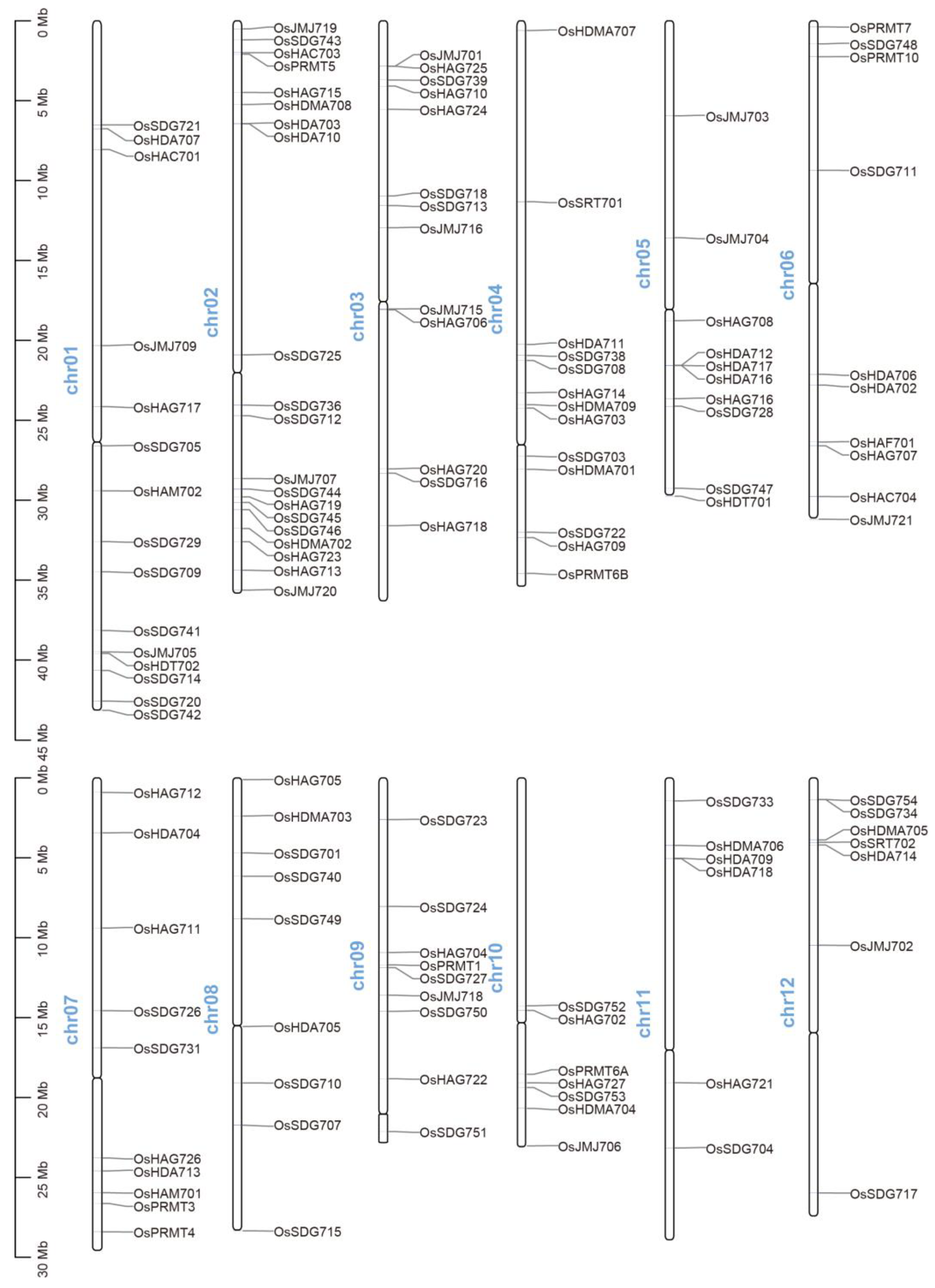Plants 13 02496 g001 Plants 13 02496 g001