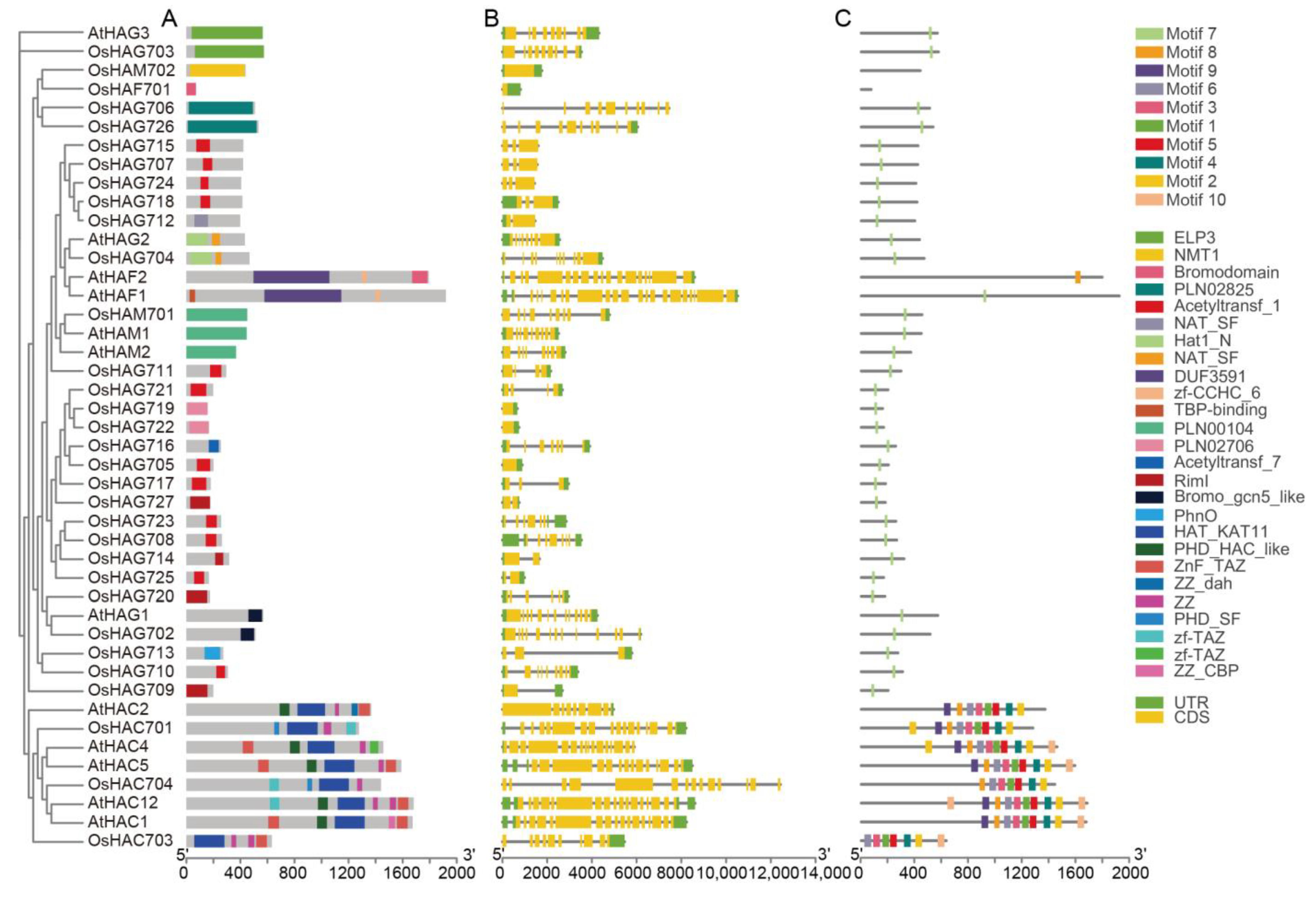 Plants 13 02496 g002 Plants 13 02496 g002