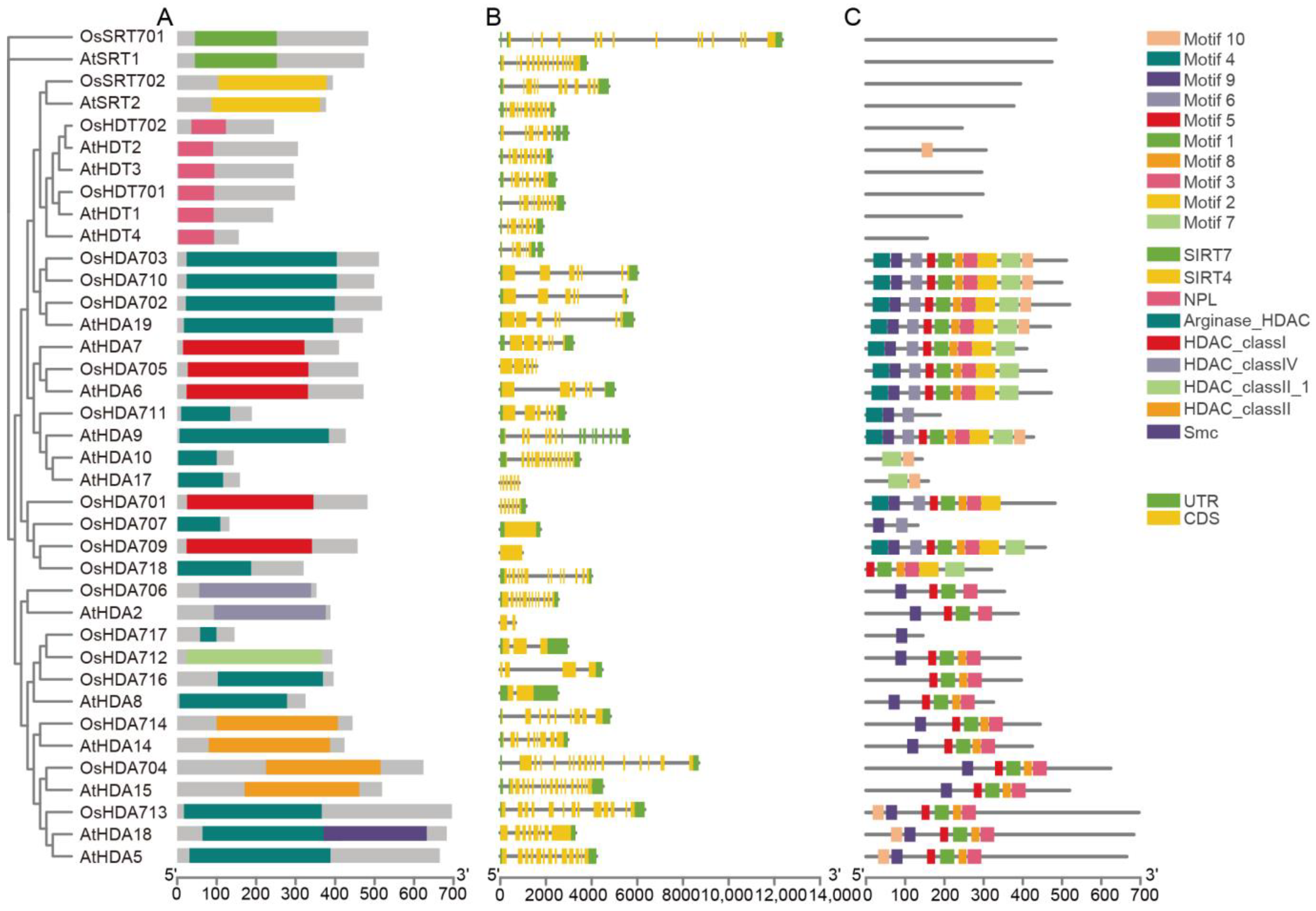 Plants 13 02496 g003 Plants 13 02496 g003