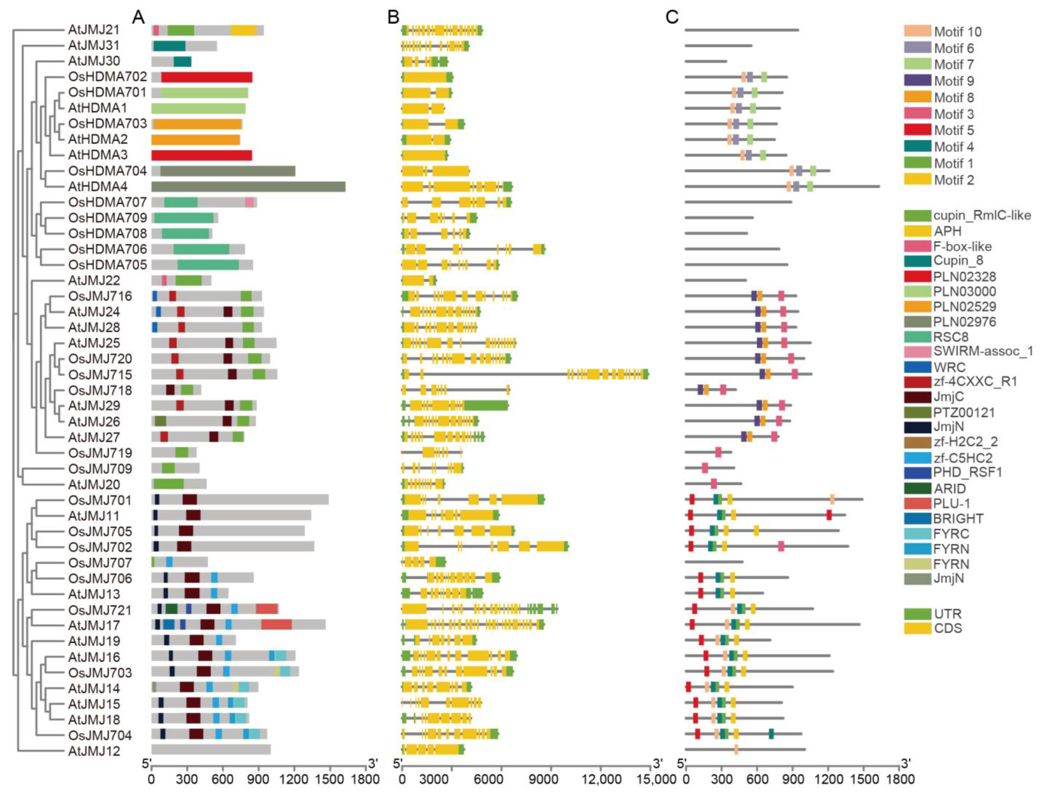 Plants 13 02496 g004 Plants 13 02496 g004