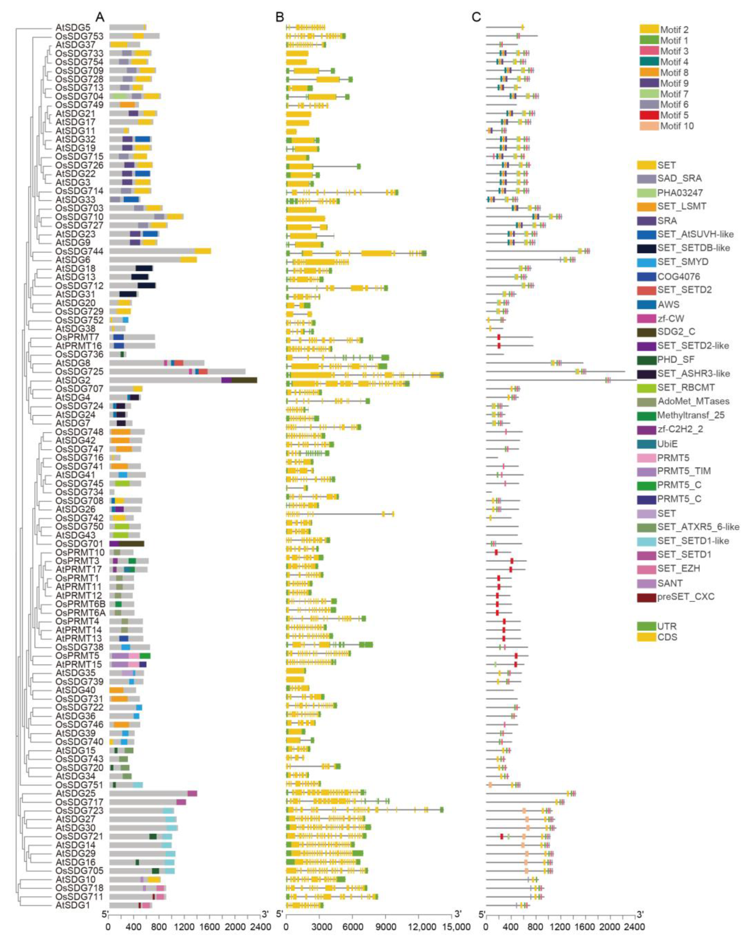 Plants 13 02496 g005 Plants 13 02496 g005