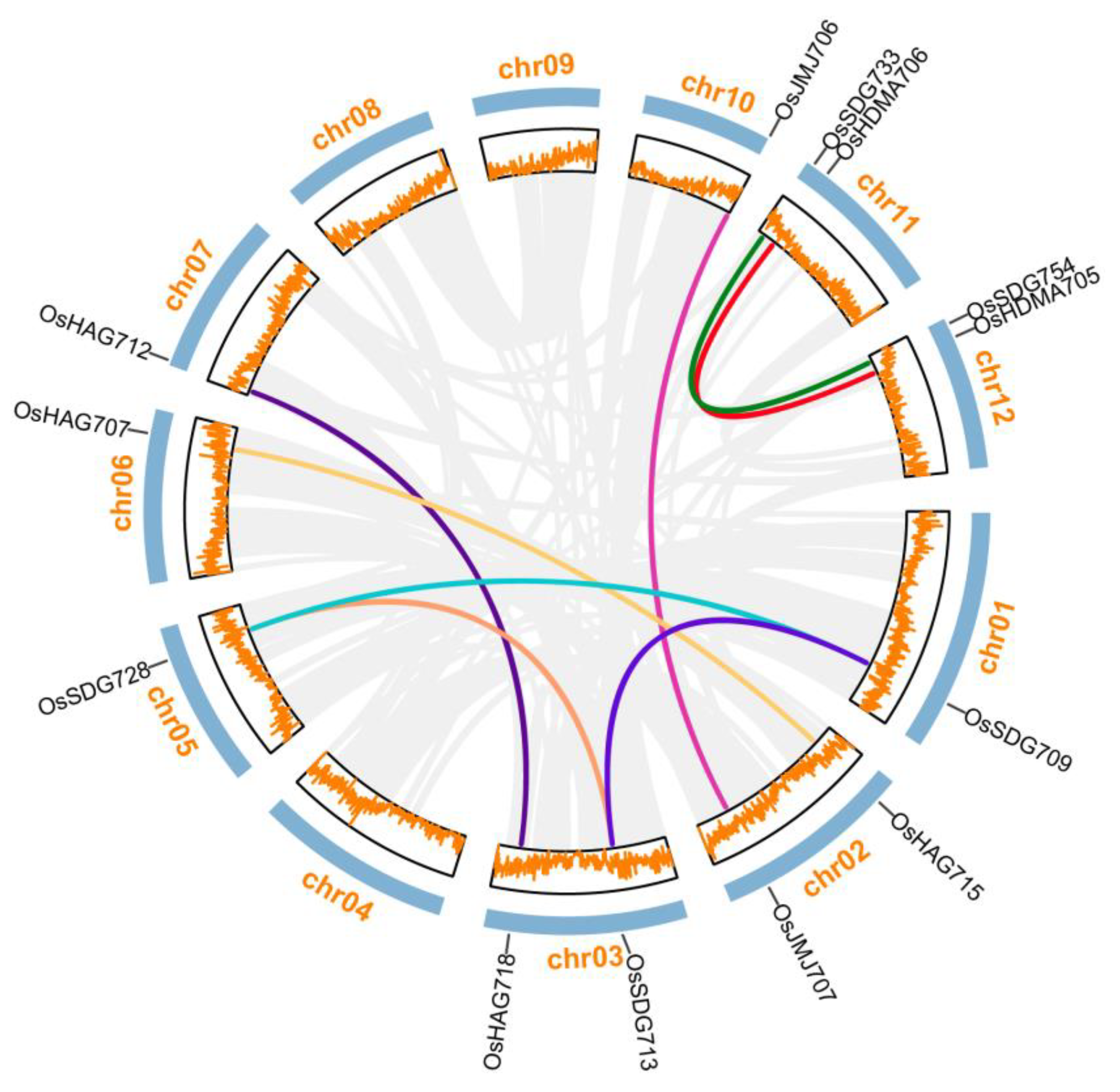 Plants 13 02496 g006 Plants 13 02496 g006