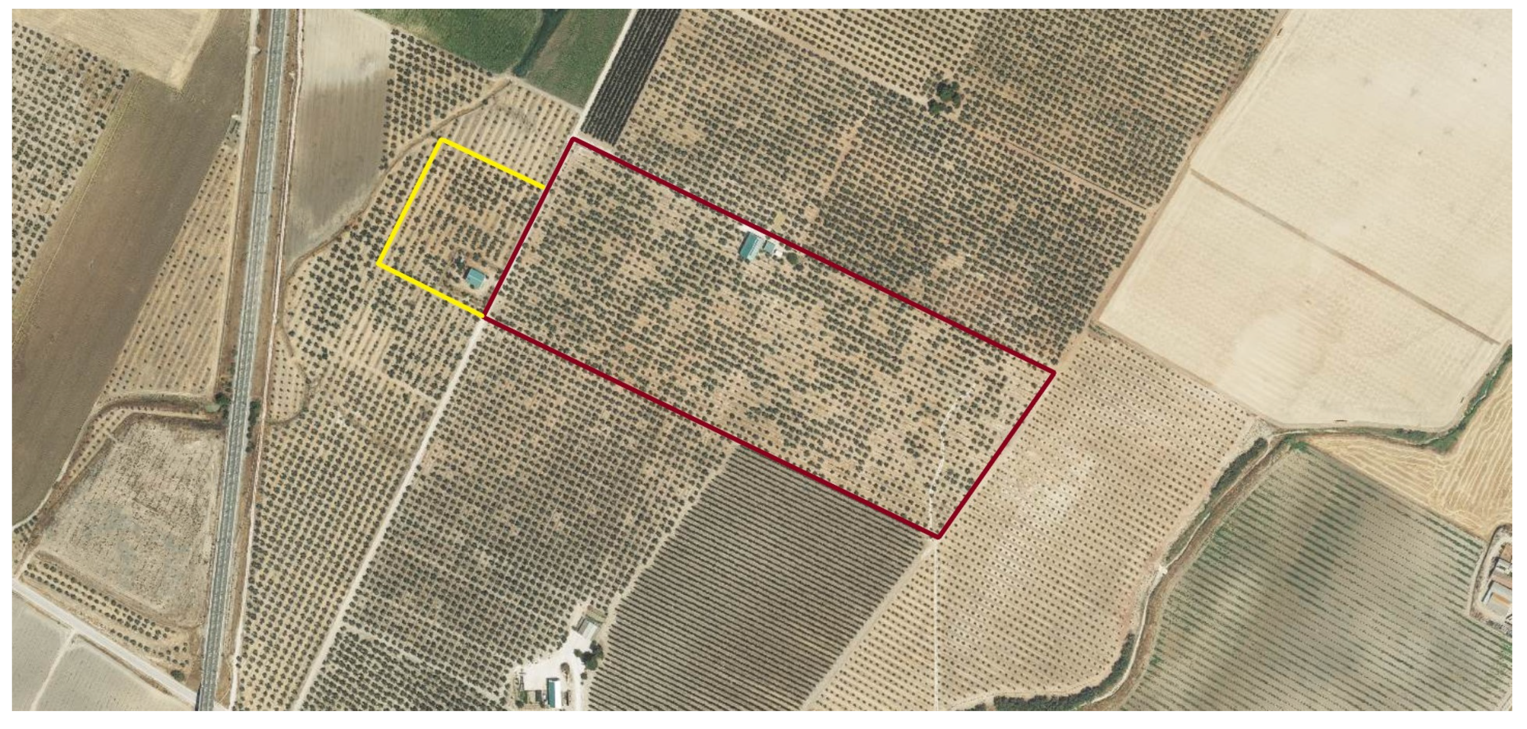 Plants 13 02499 g010