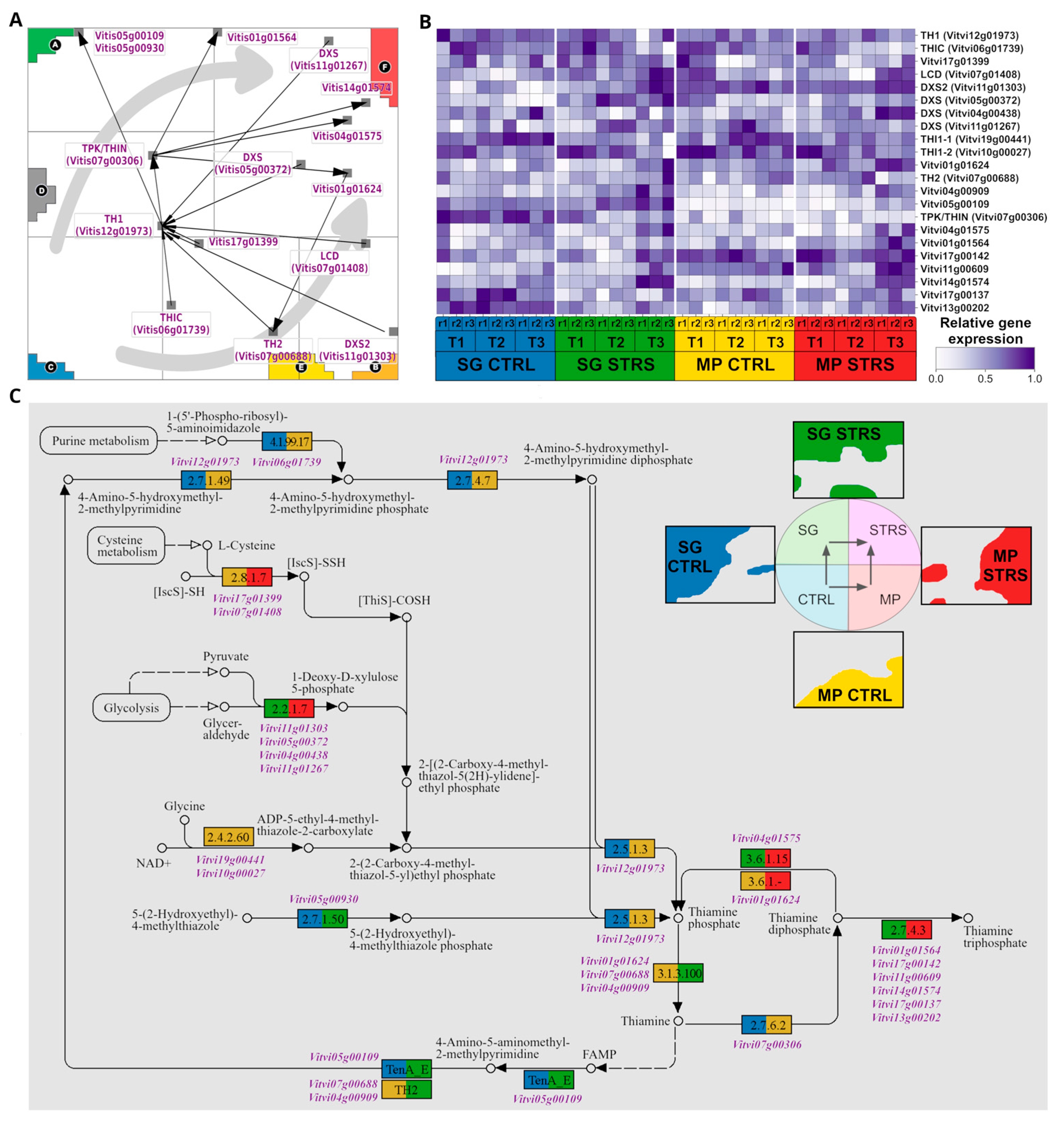 Plants 13 02501 g005