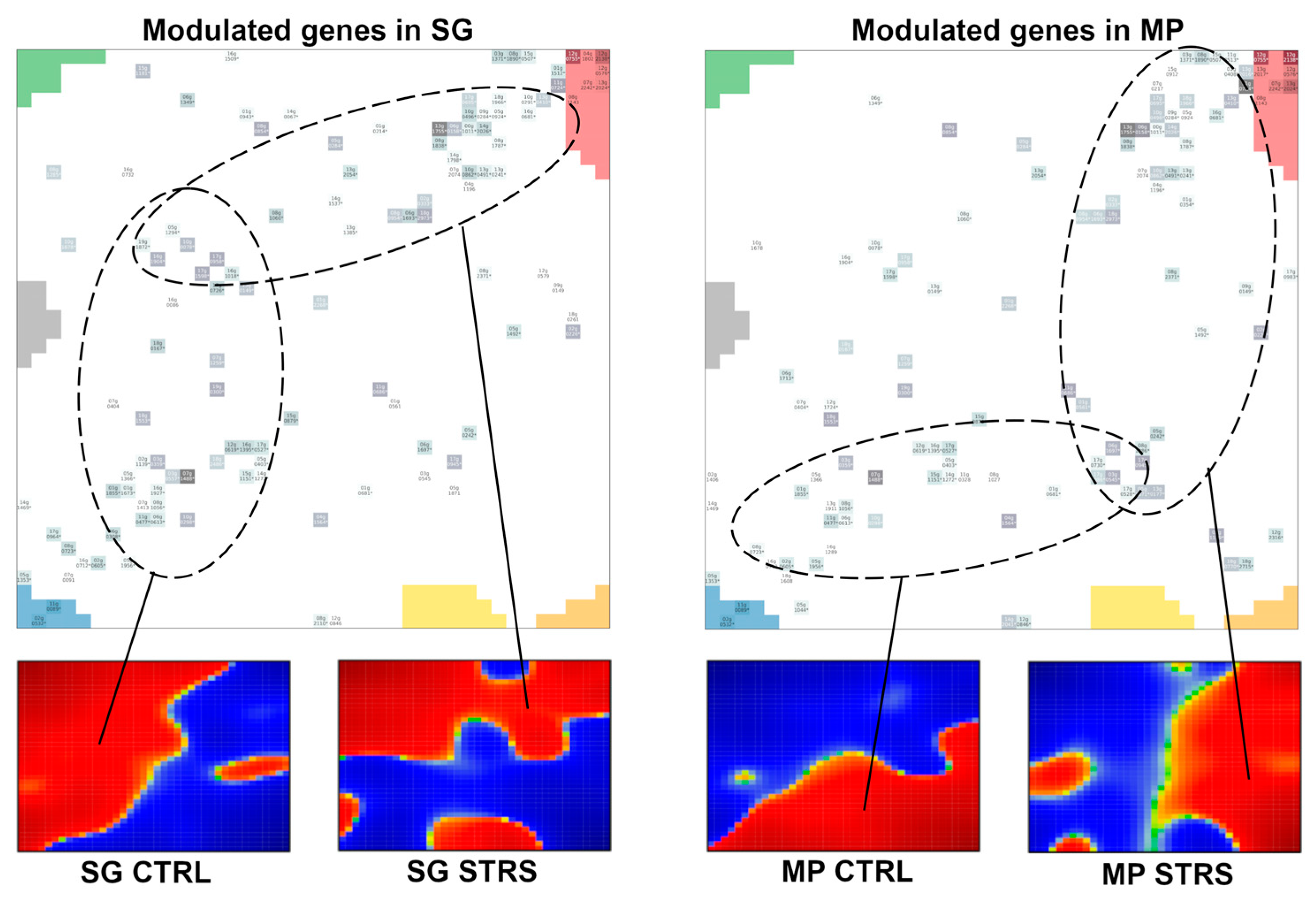 Plants 13 02501 g0a2