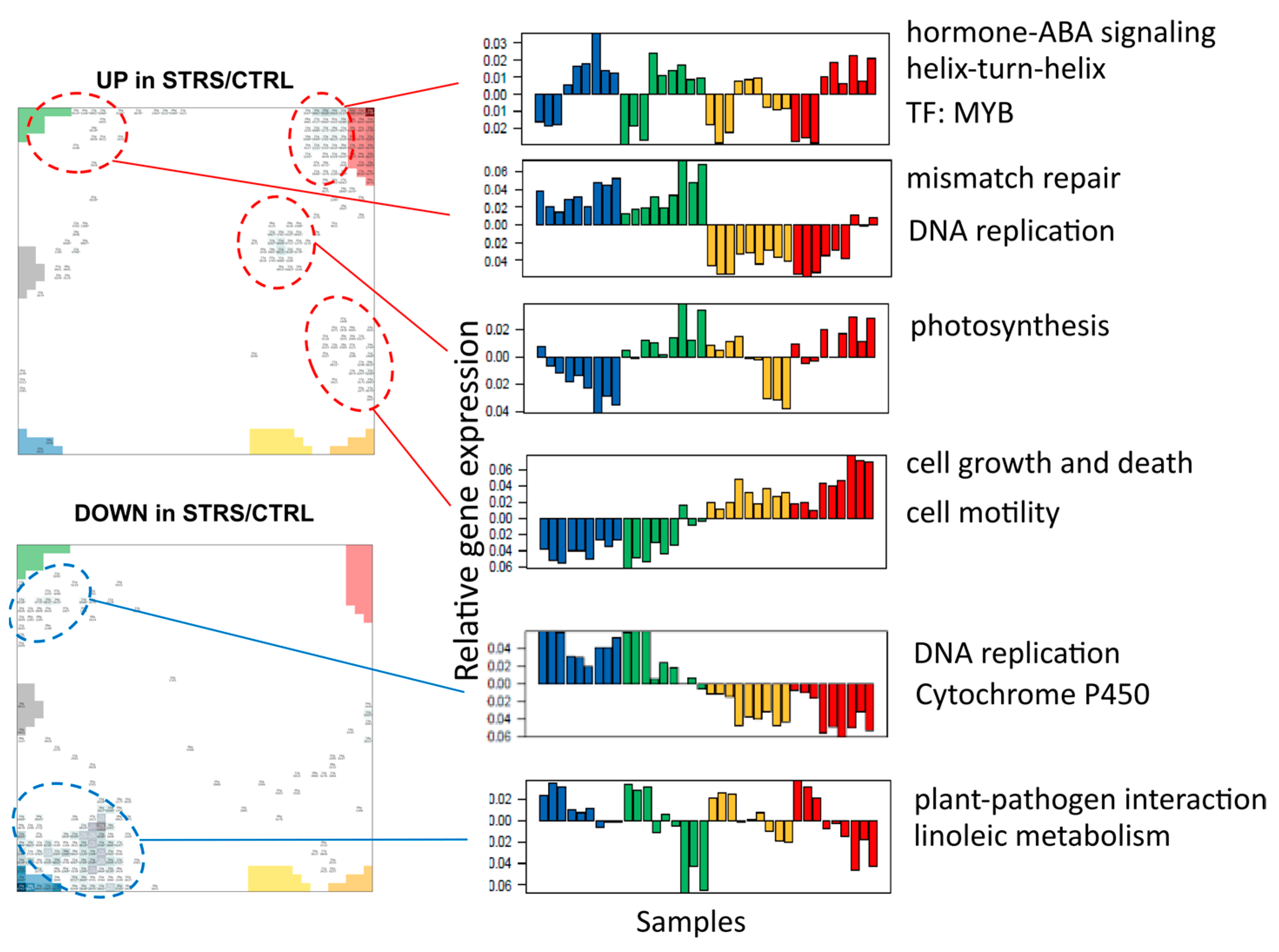 Plants 13 02501 g0a3