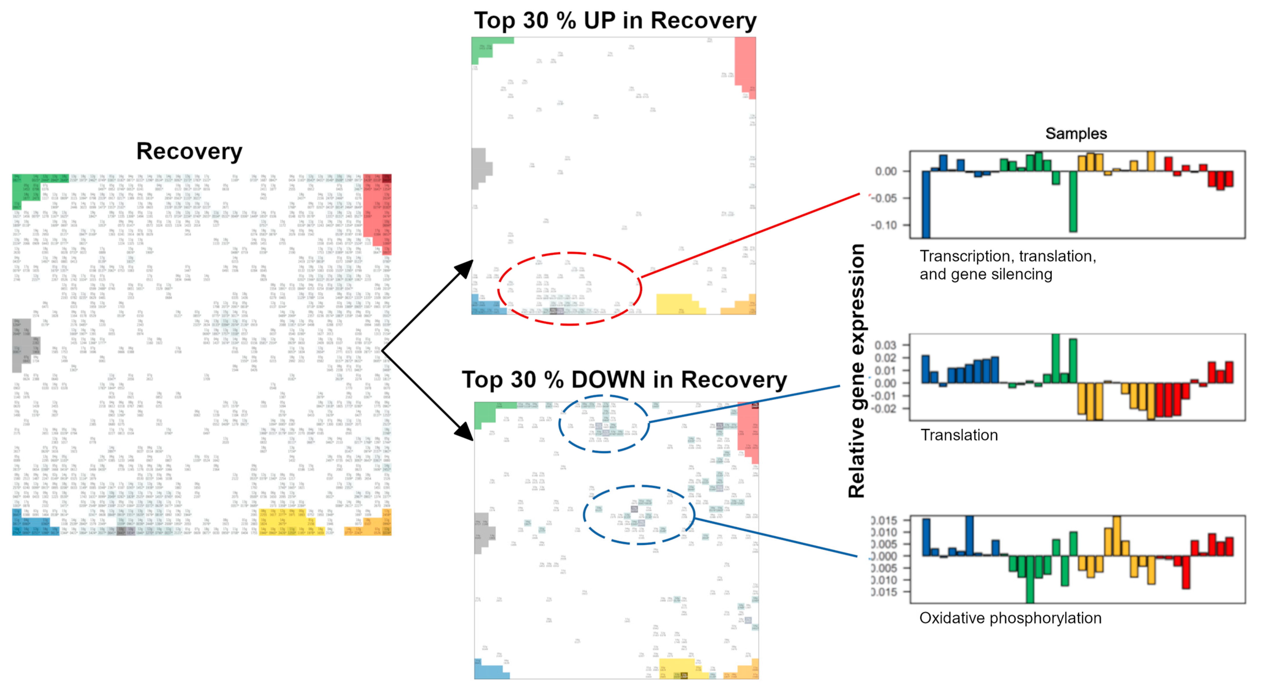 Plants 13 02501 g0a4