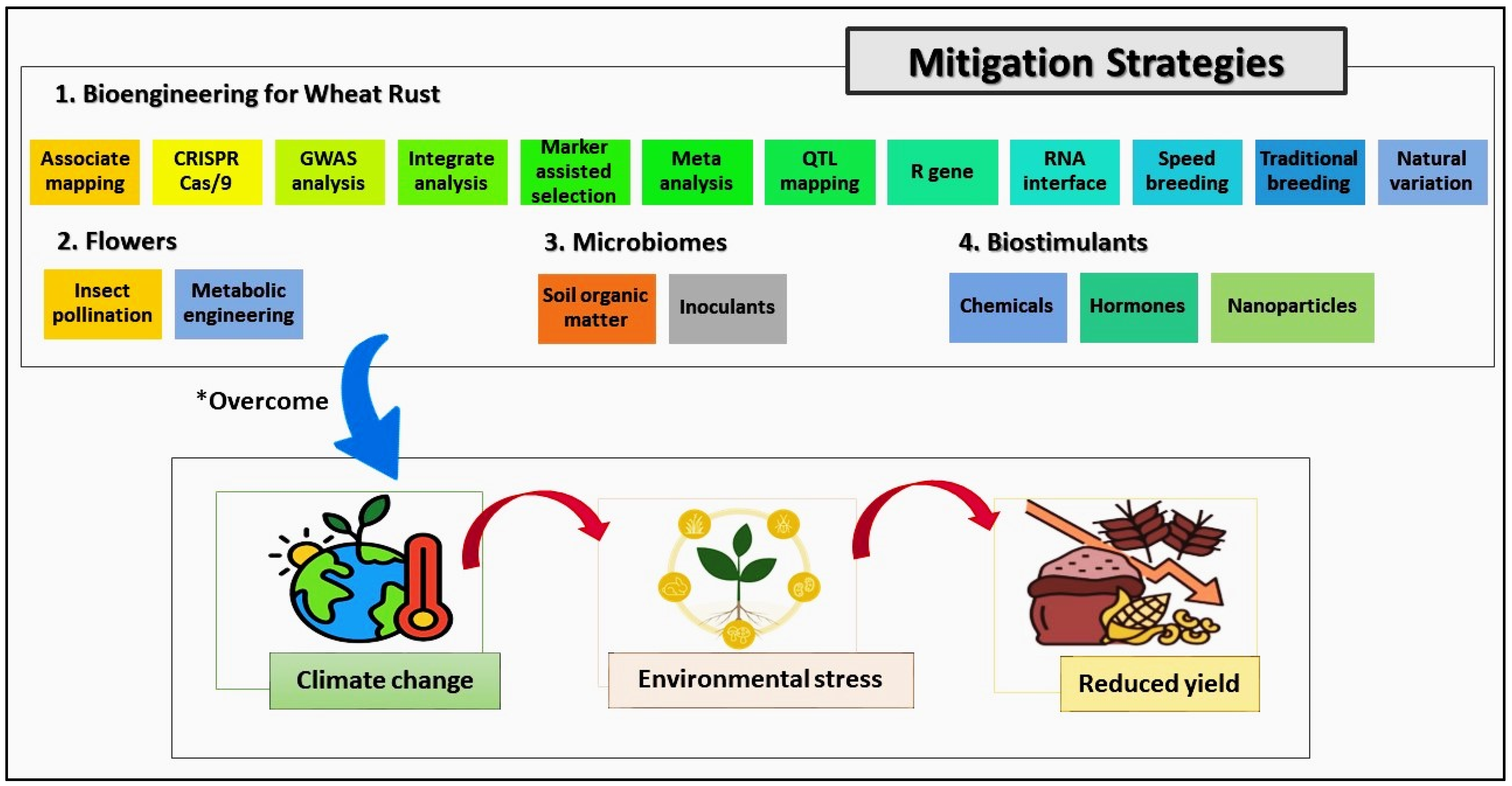 Plants 13 02502 g003