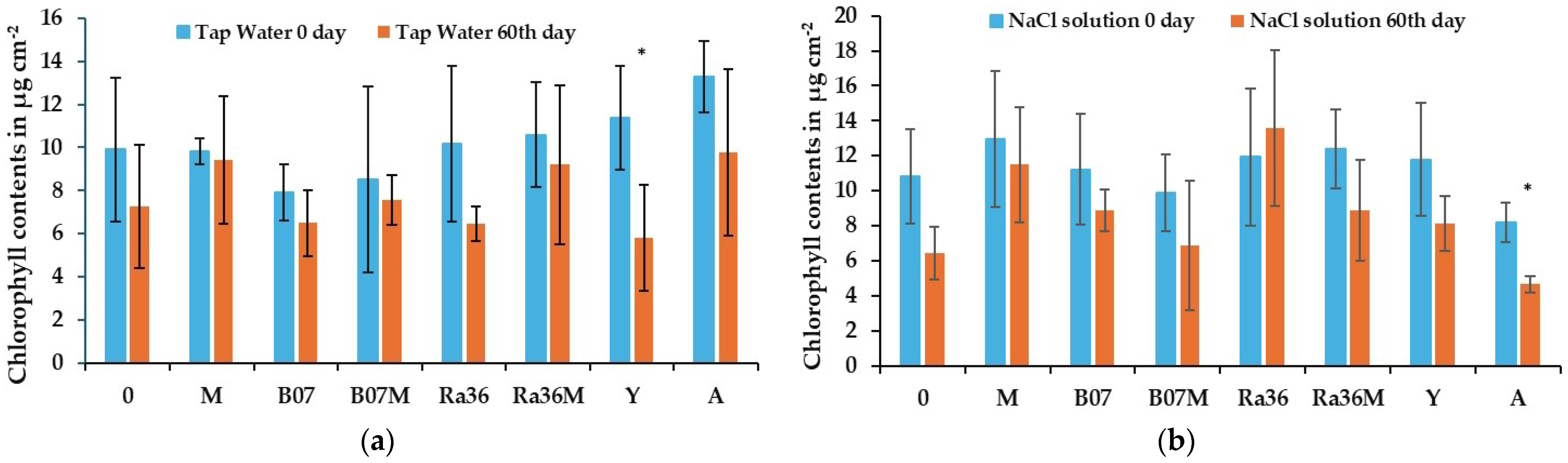 Plants 13 02505 g005