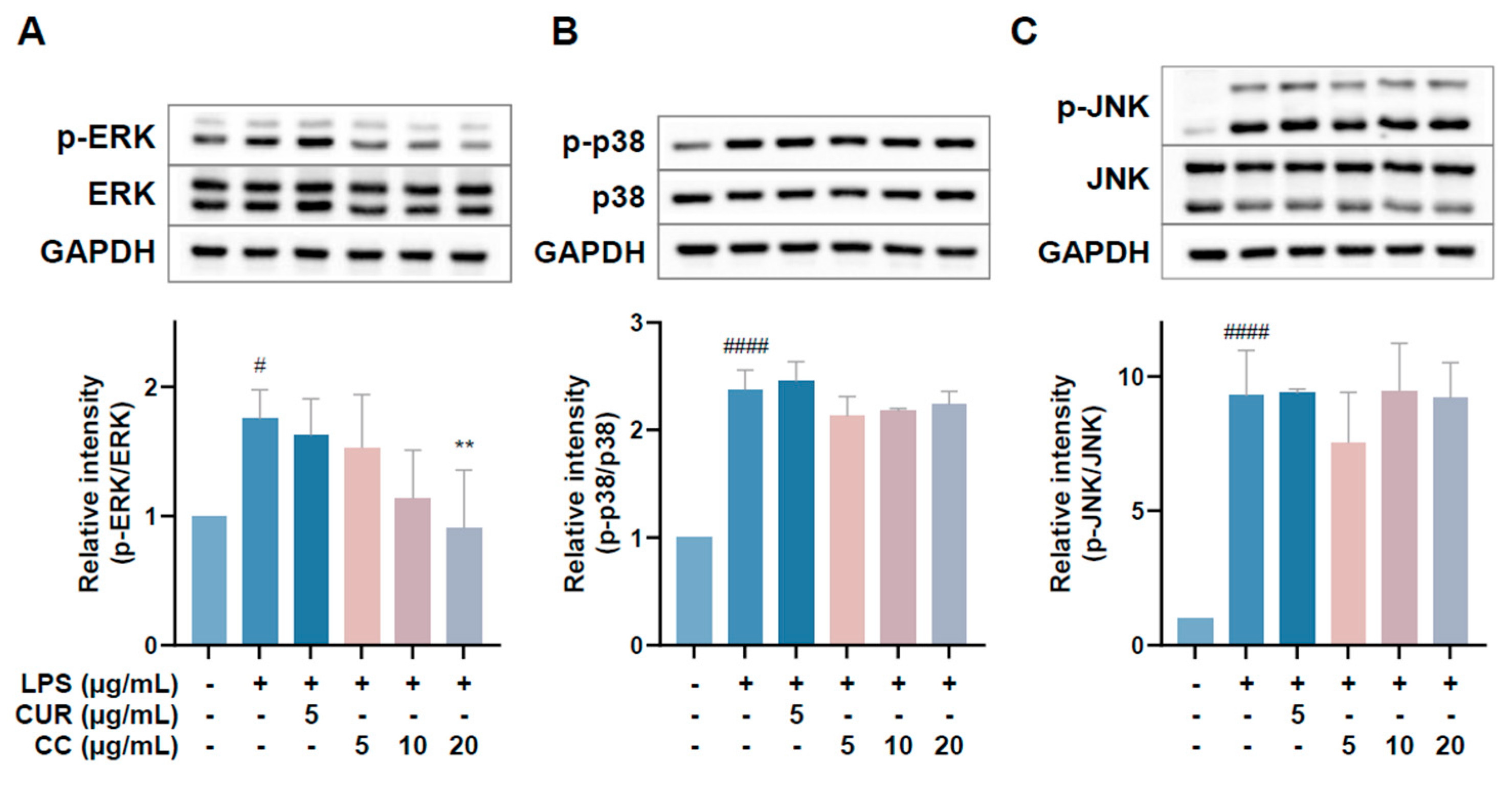 Plants 13 02506 g007