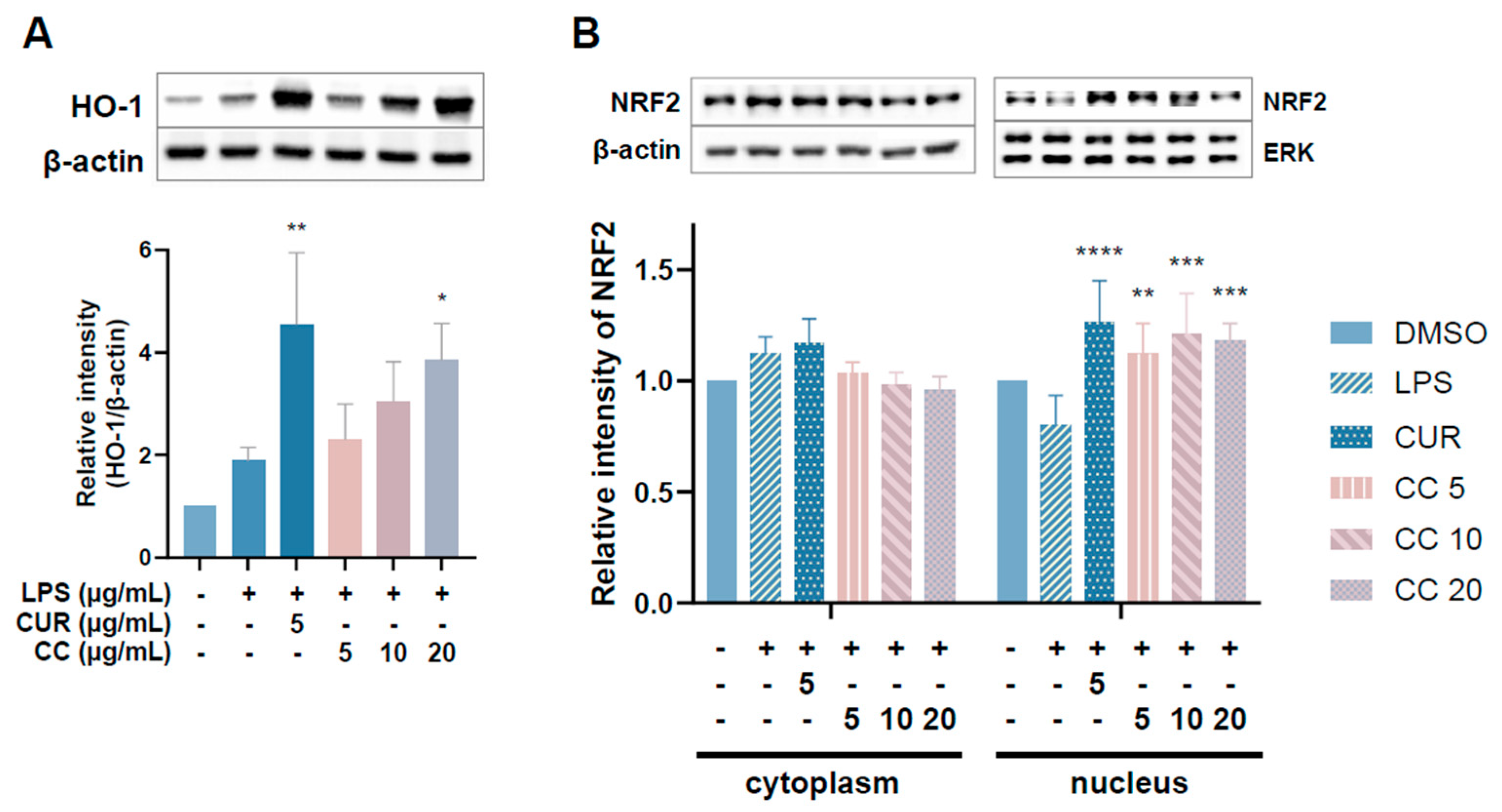 Plants 13 02506 g010