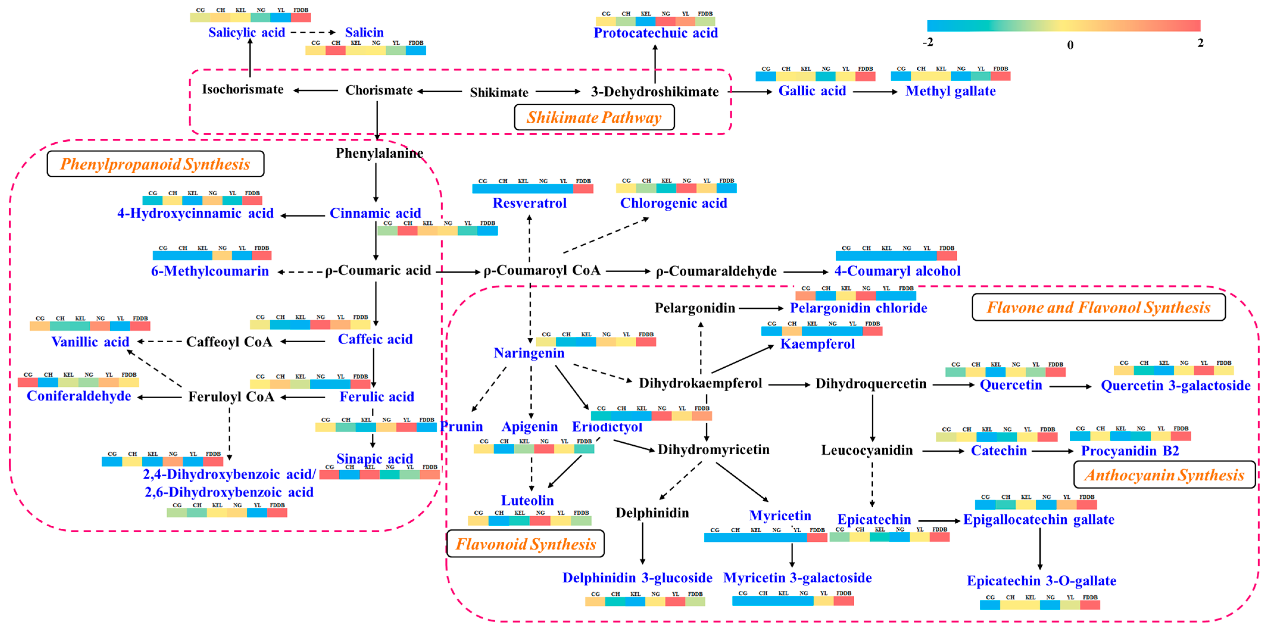 Plants 13 02513 g006