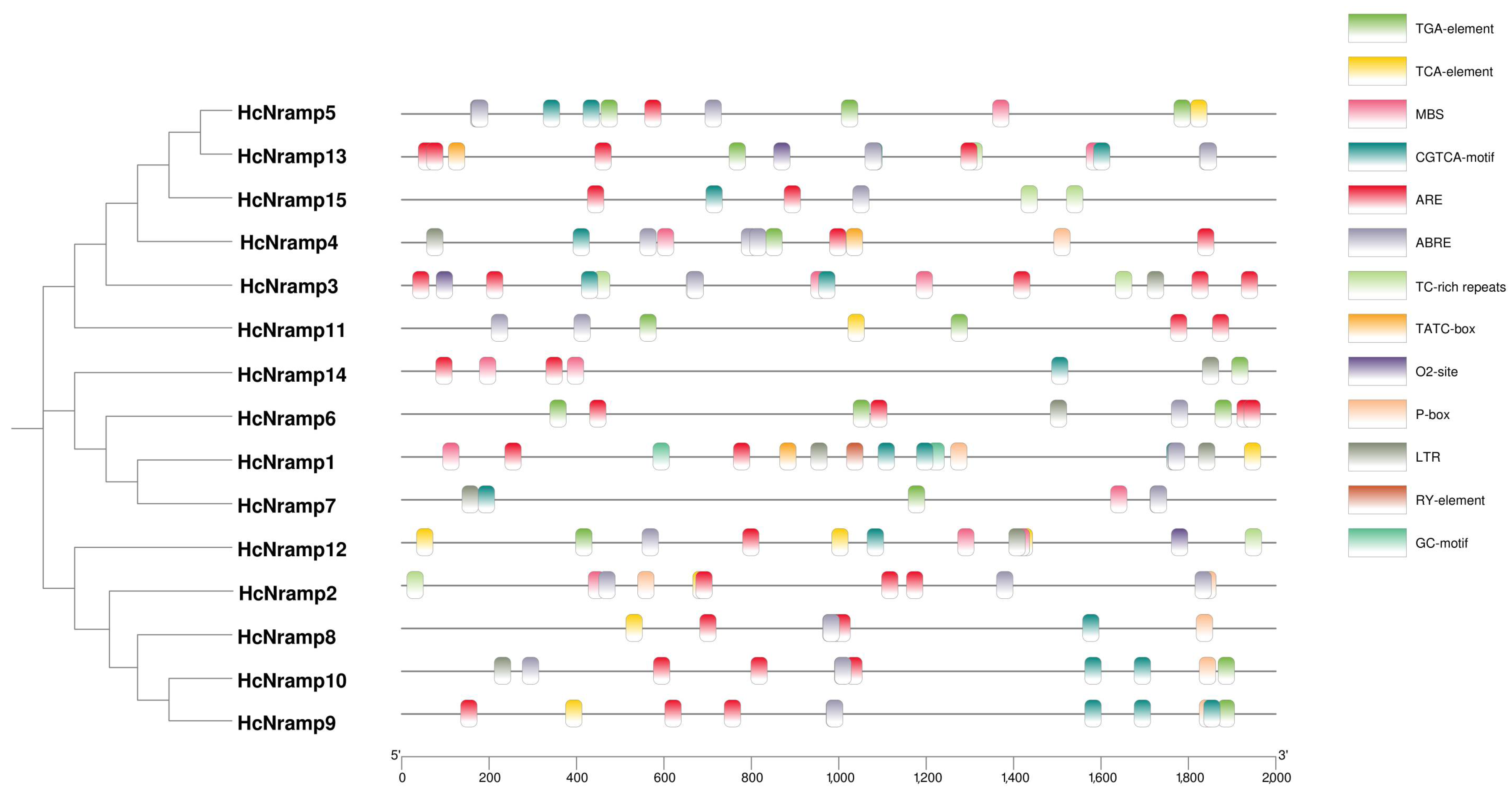 Plants 13 02514 g003