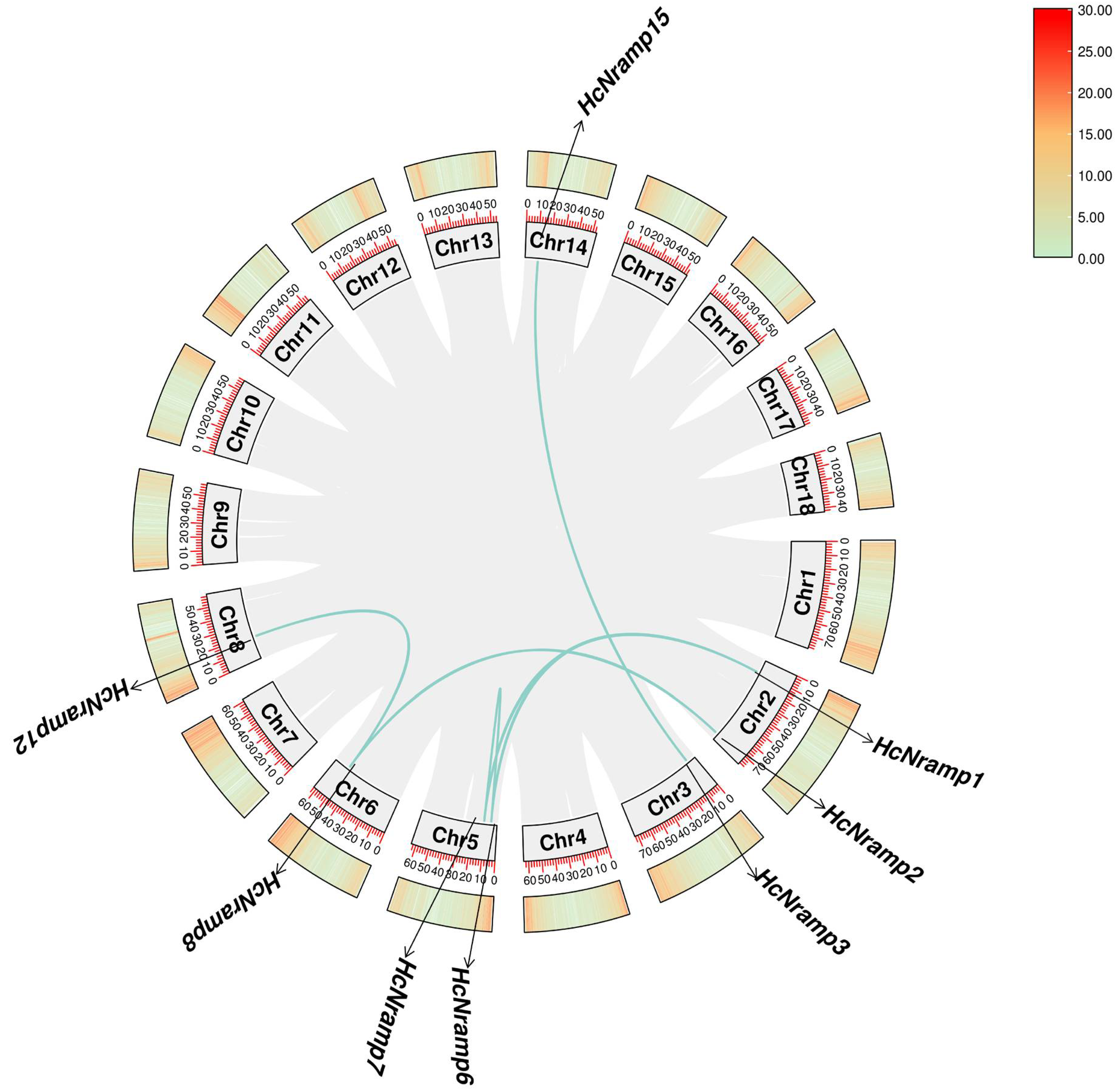 Plants 13 02514 g005