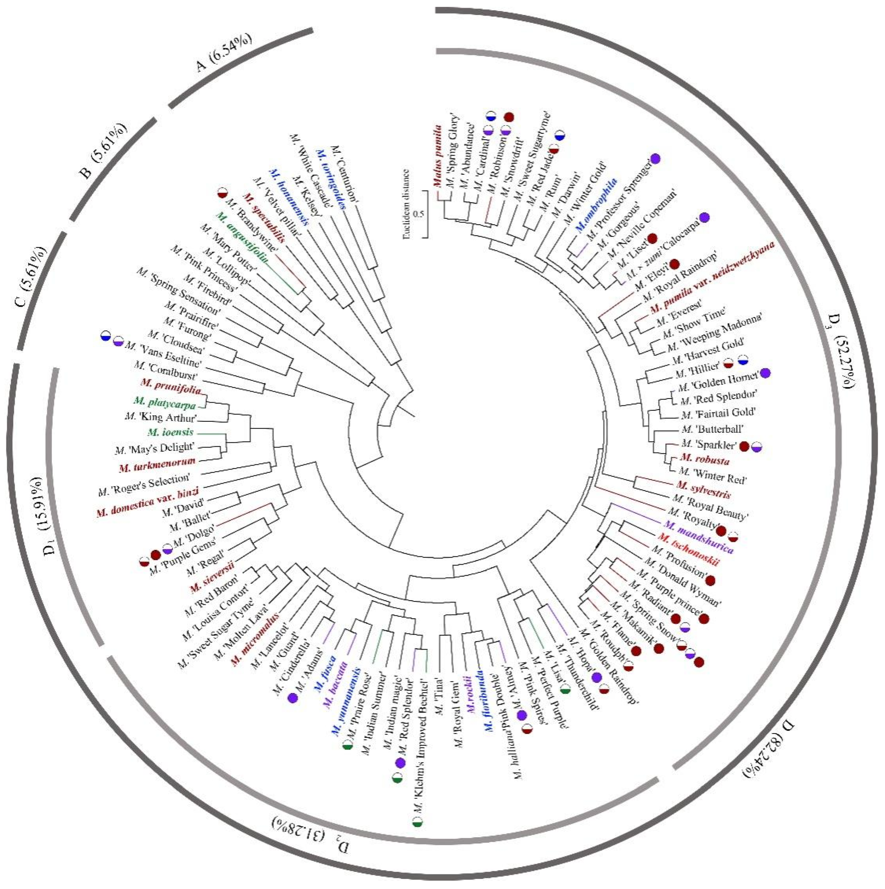 Plants 13 02522 g002