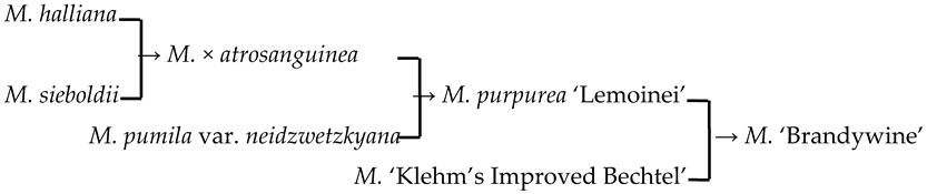 Plants 13 02522 i001