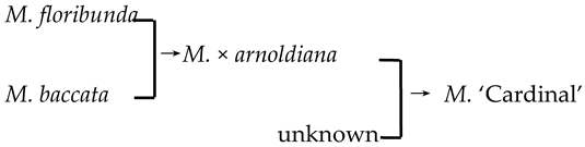 Plants 13 02522 i003