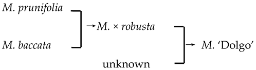 Plants 13 02522 i005