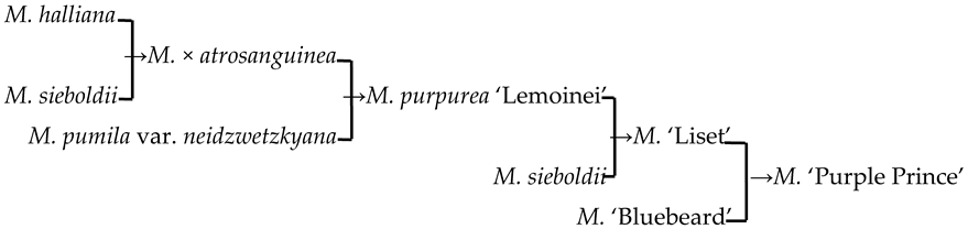 Plants 13 02522 i013