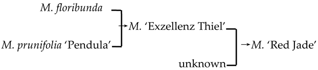 Plants 13 02522 i017