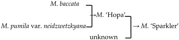 Plants 13 02522 i023