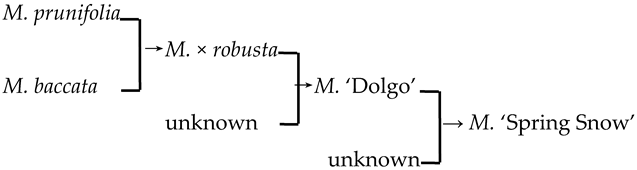 Plants 13 02522 i025