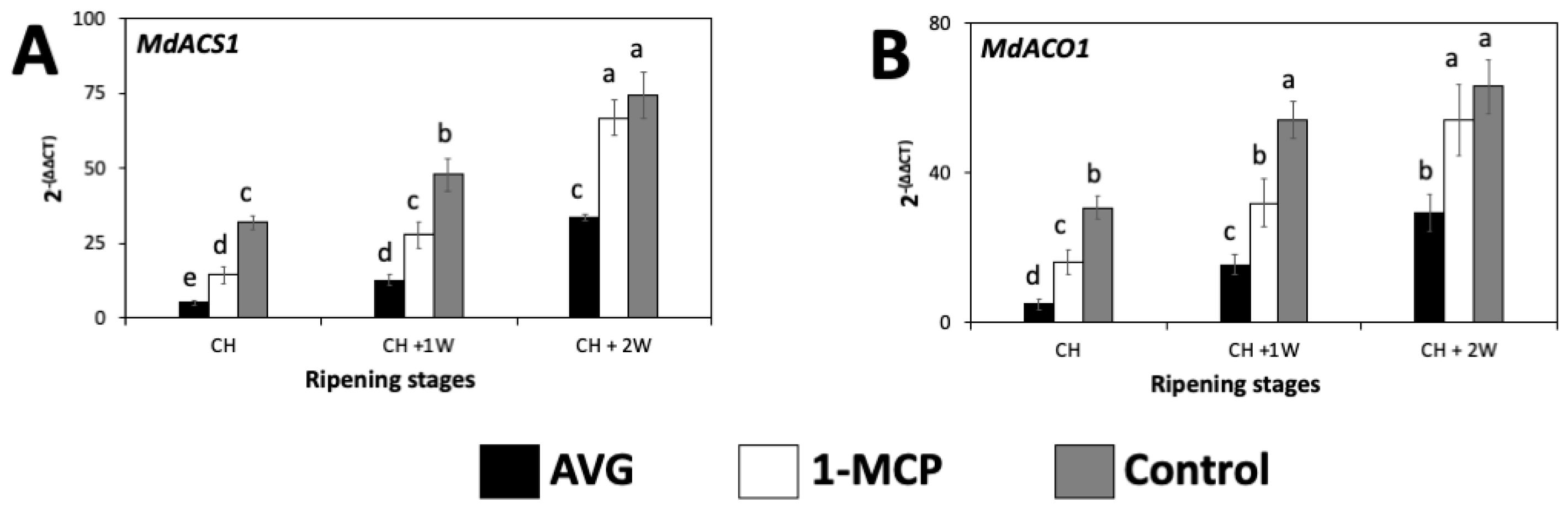 Plants 13 02524 g002 Plants 13 02524 g002