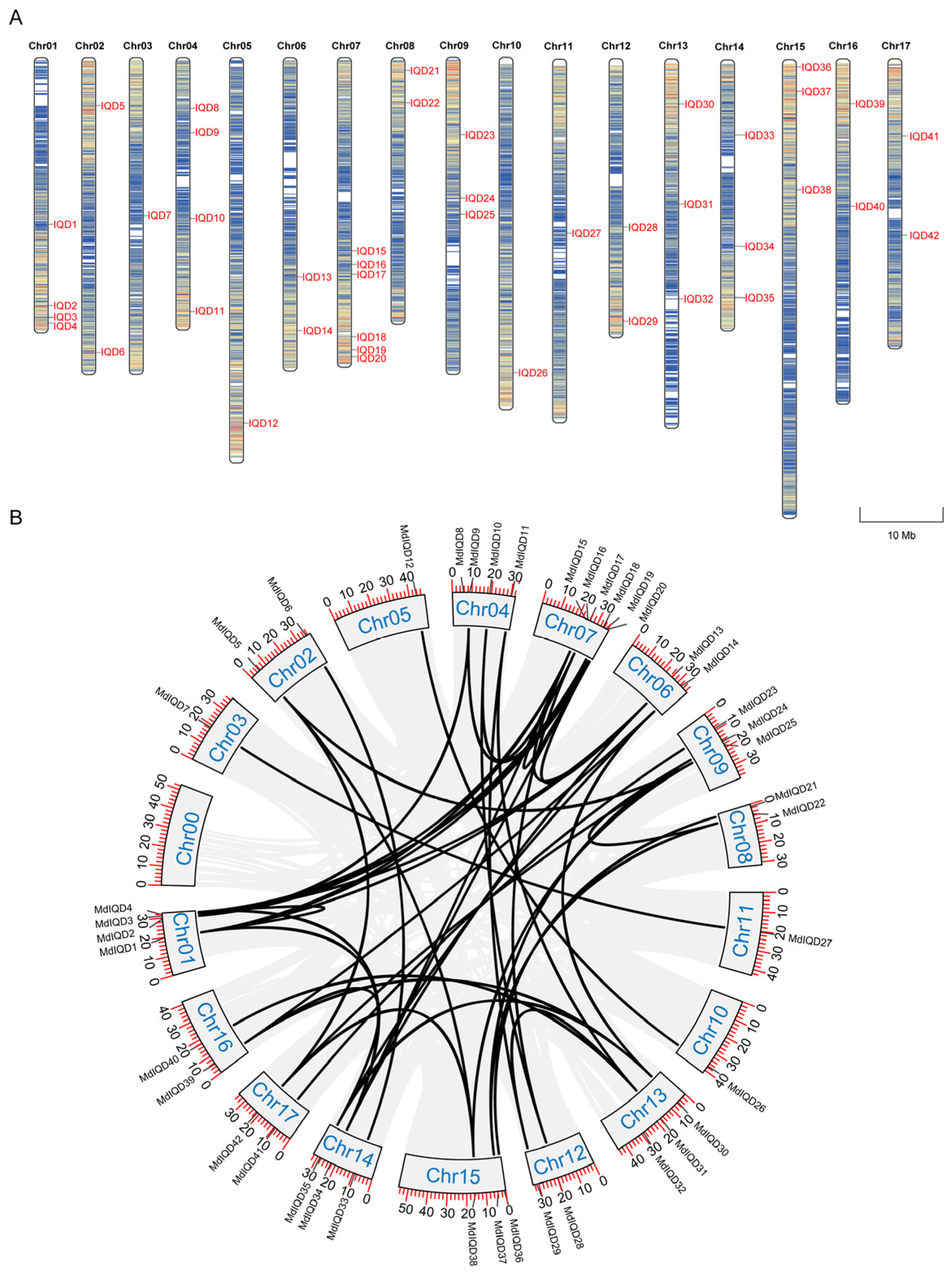 Plants 13 02532 g001