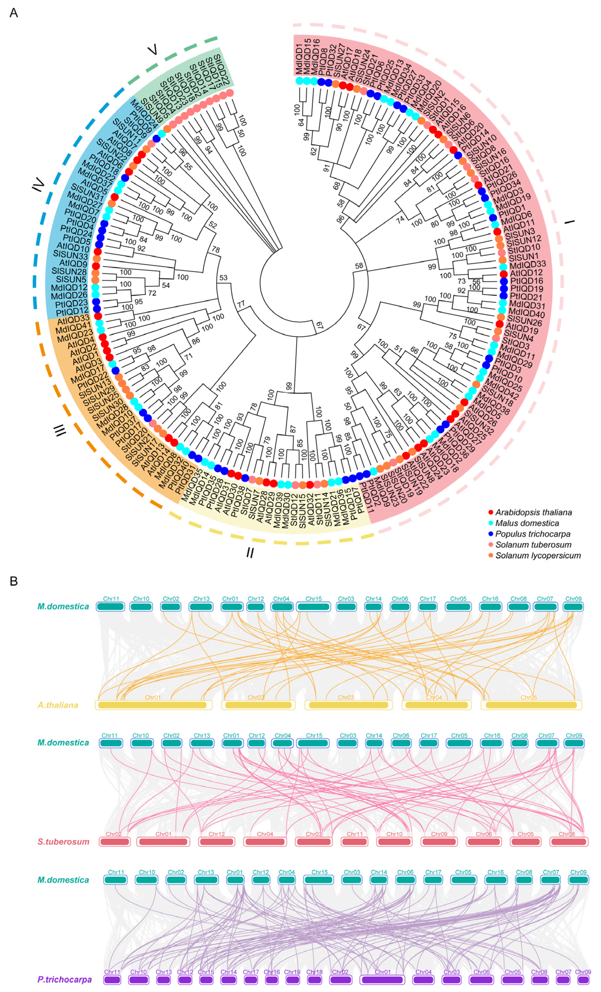 Plants 13 02532 g002