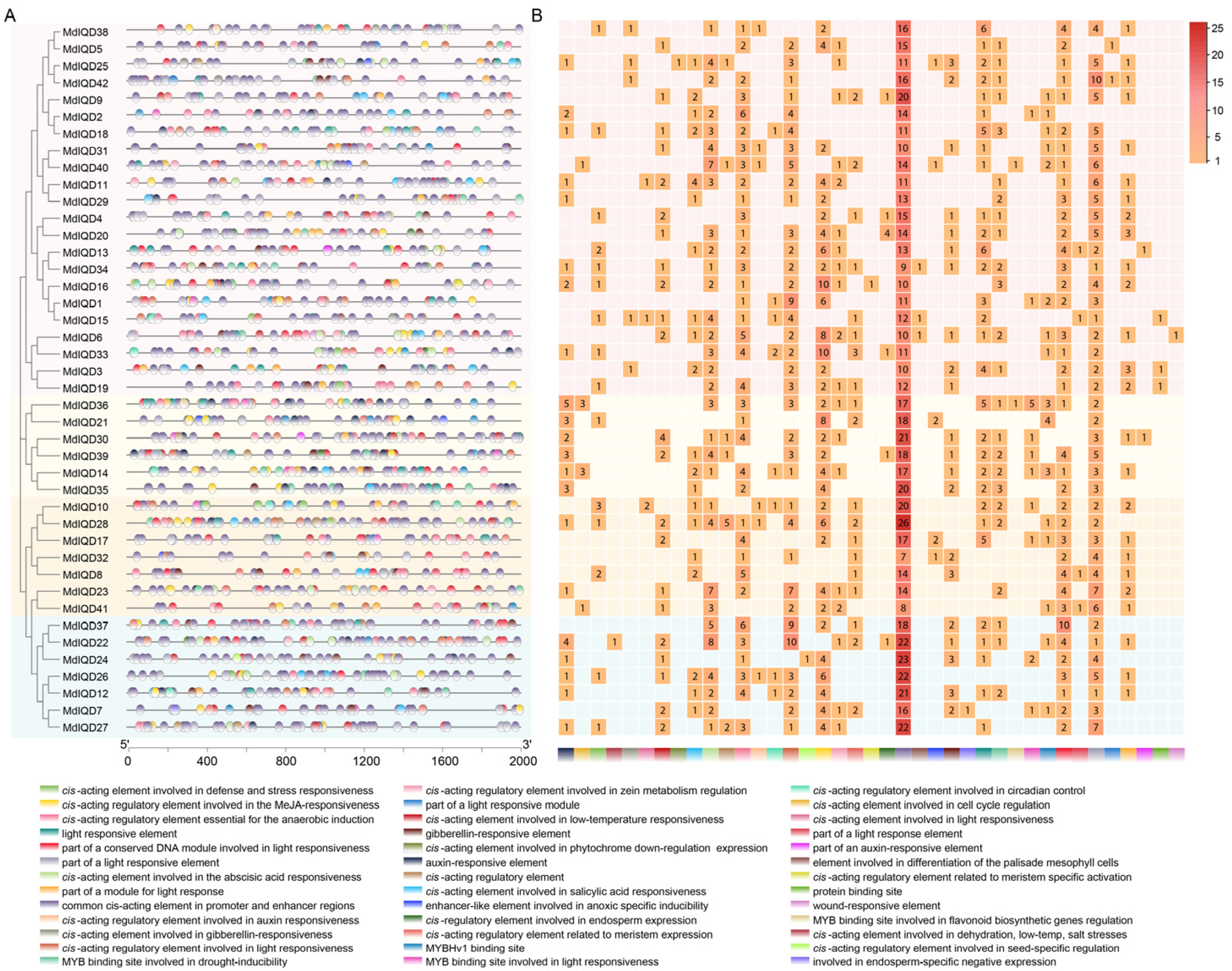 Plants 13 02532 g005