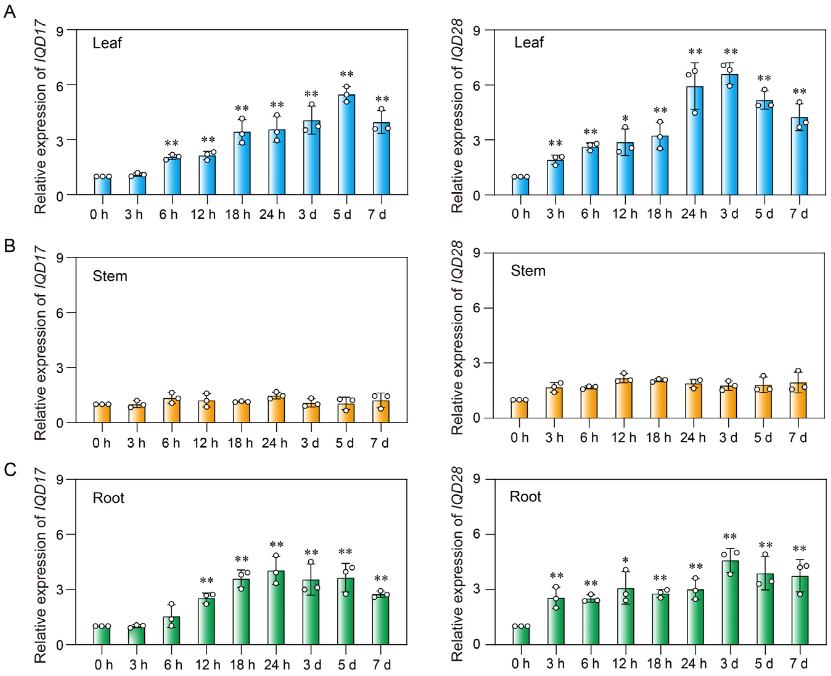 Plants 13 02532 g006