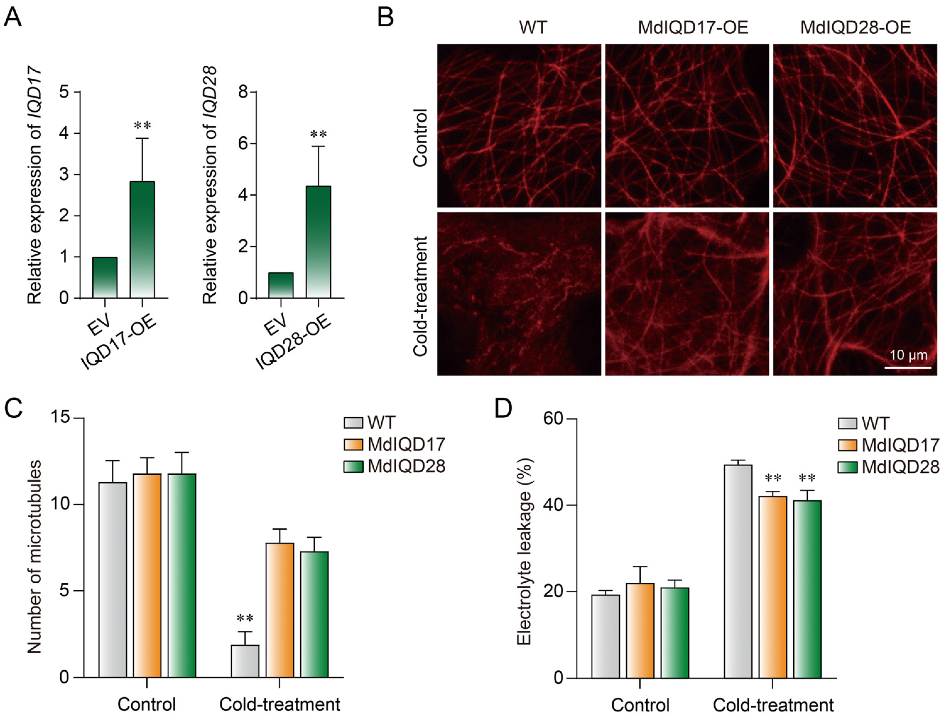 Plants 13 02532 g008