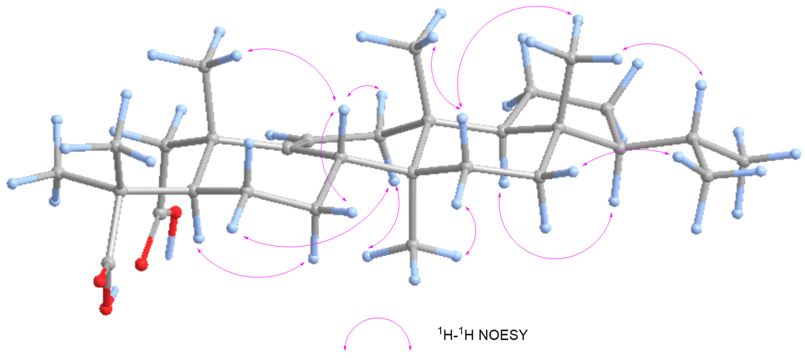 Plants 13 02533 g004