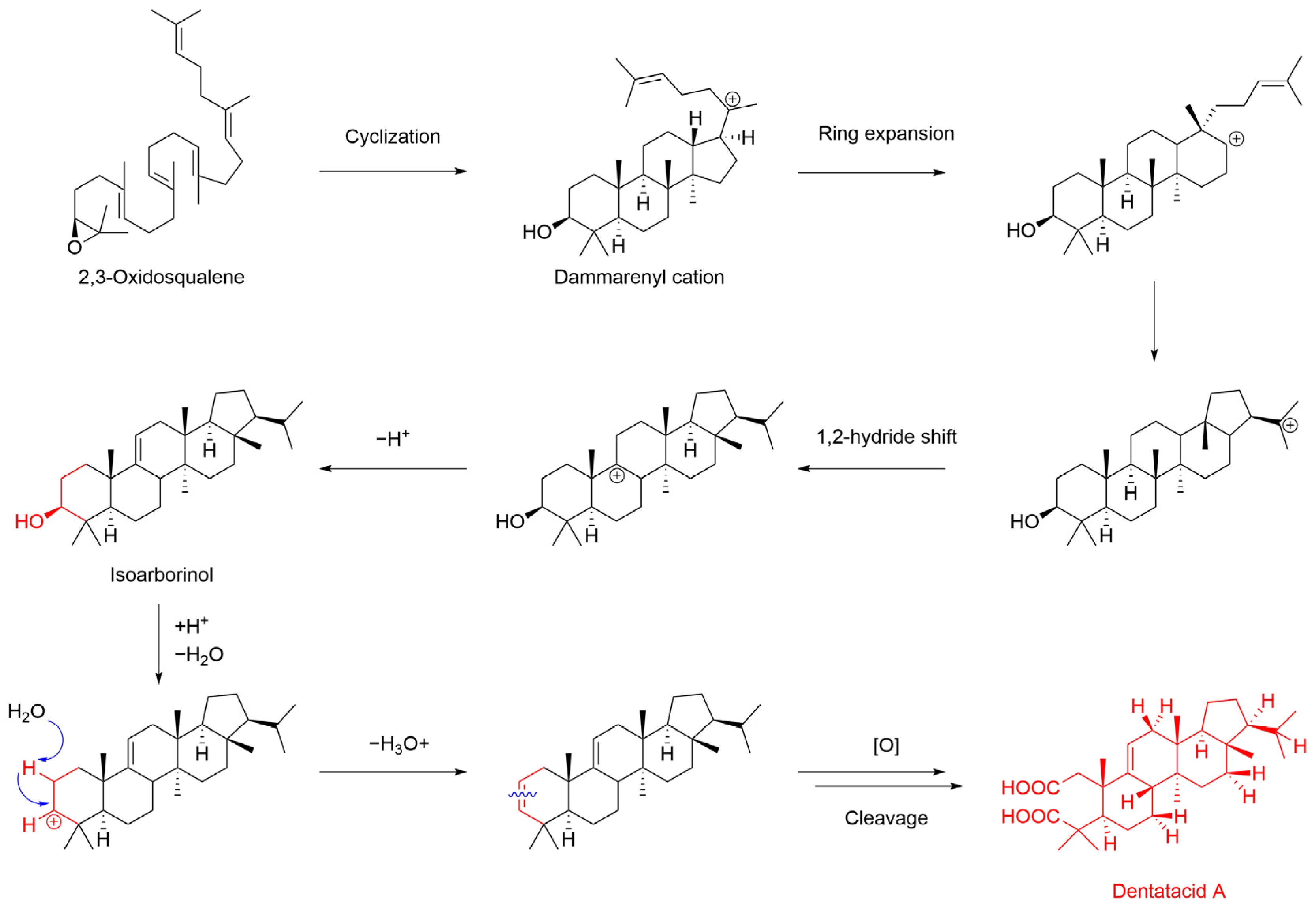 Plants 13 02533 g006
