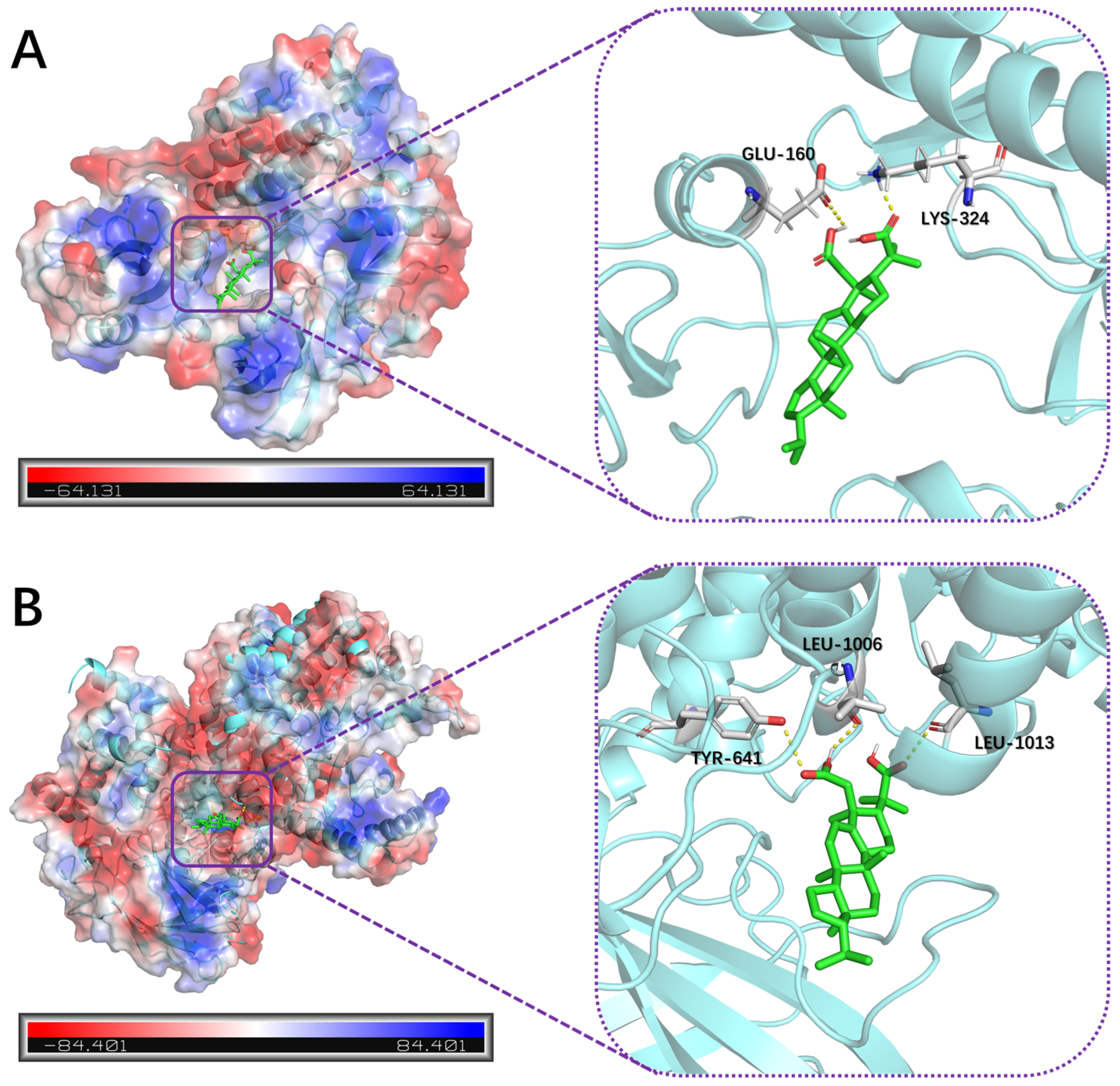 Plants 13 02533 g008