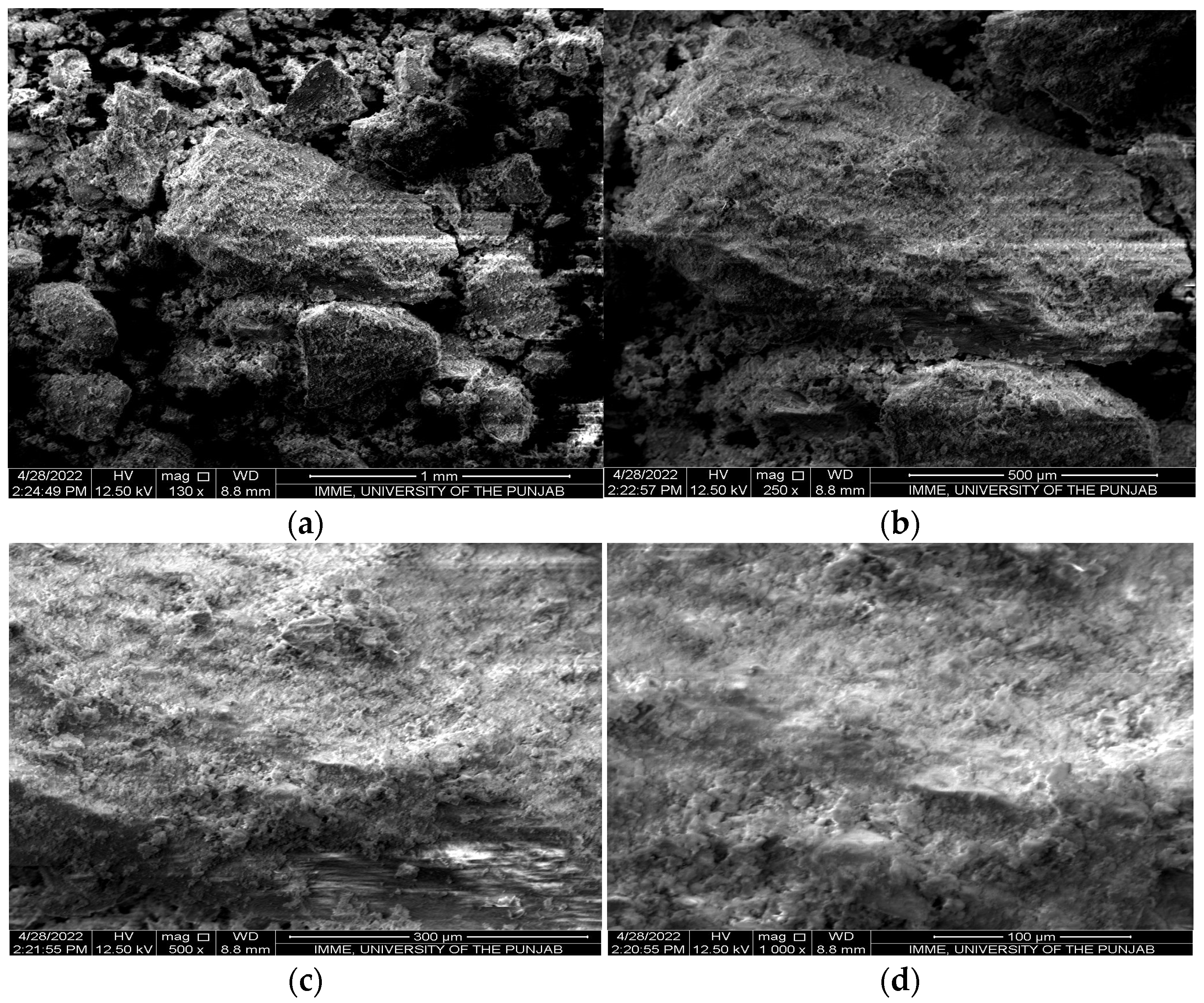 Plants 13 02534 g002