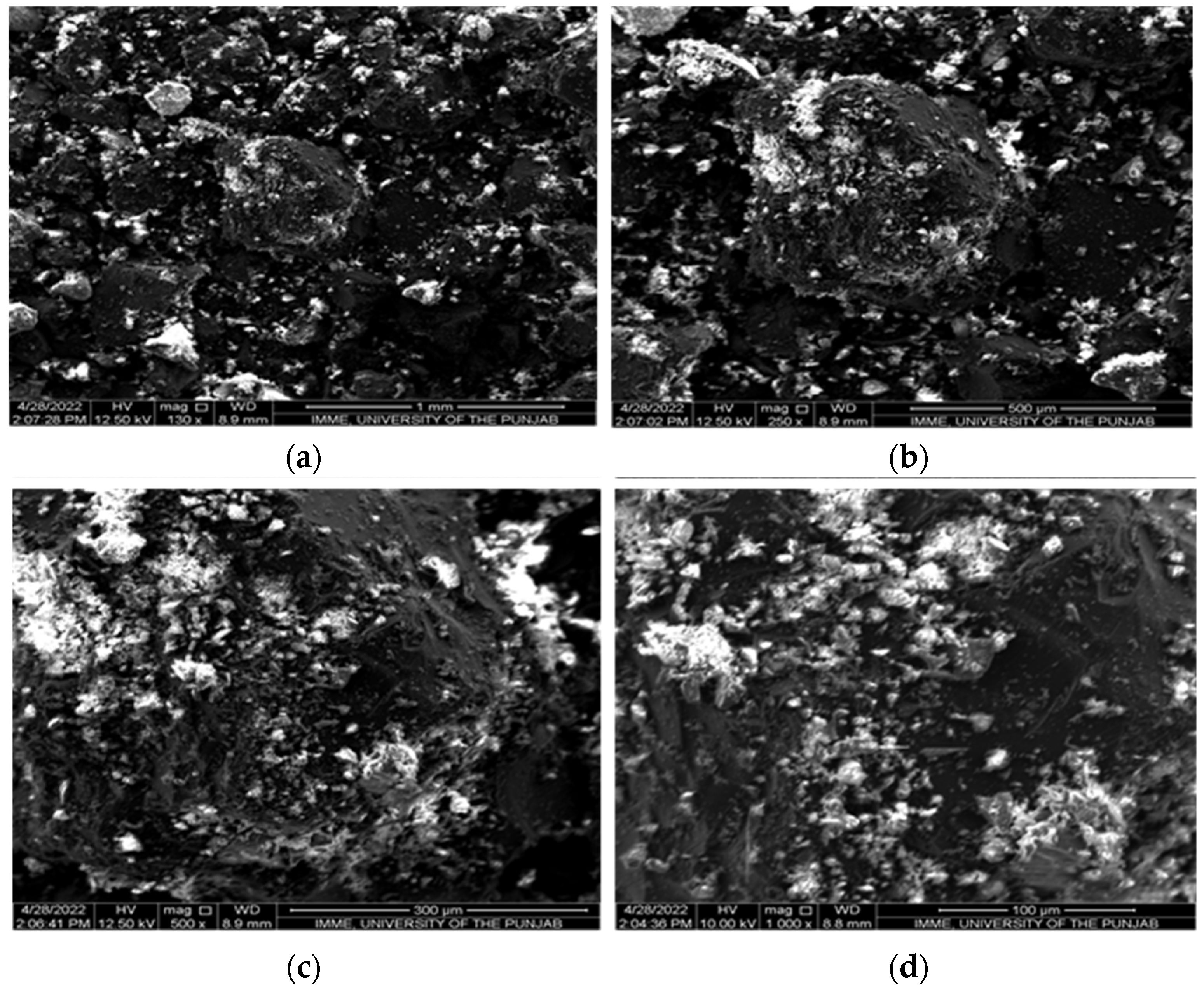 Plants 13 02534 g003