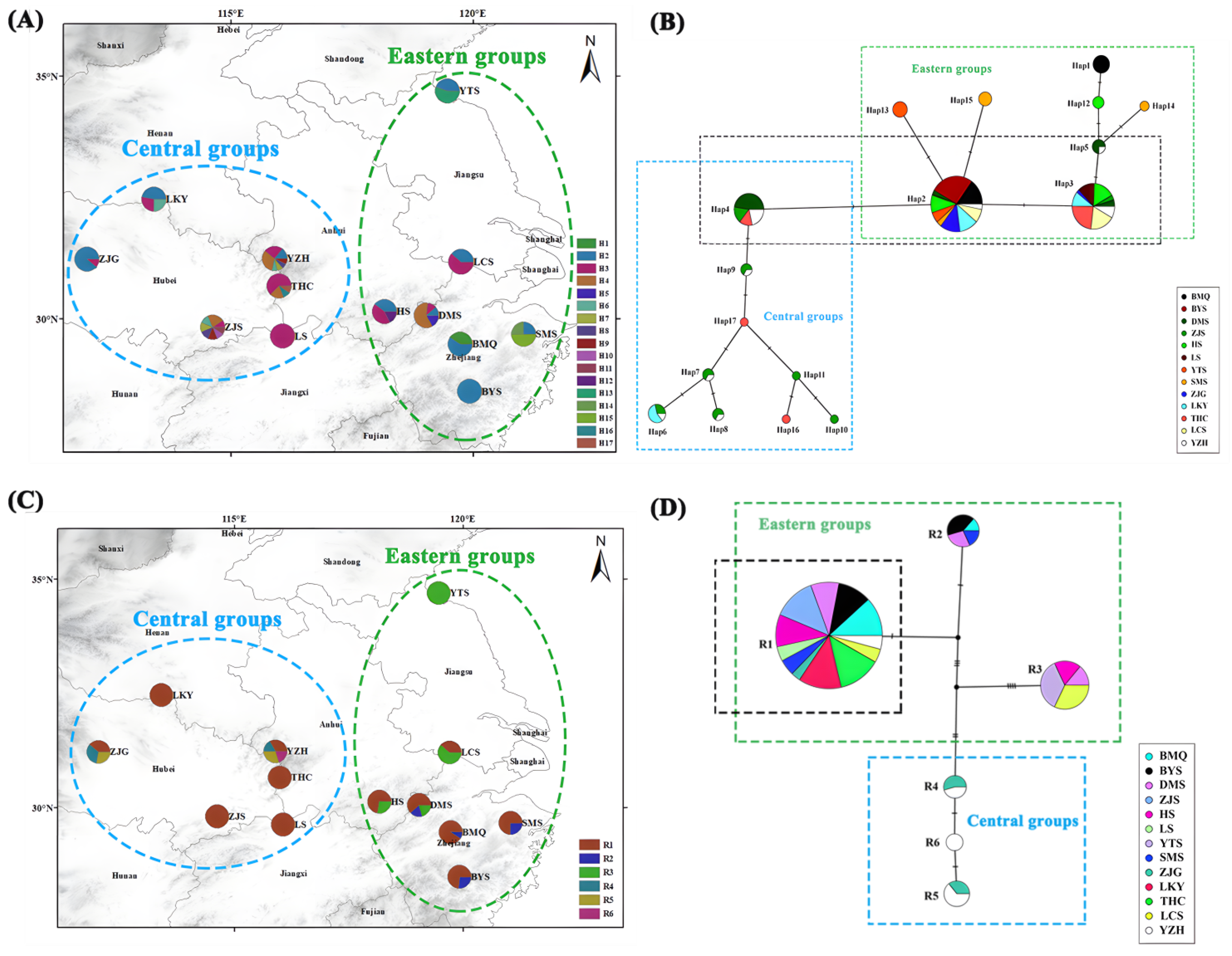 Plants 13 02535 g001