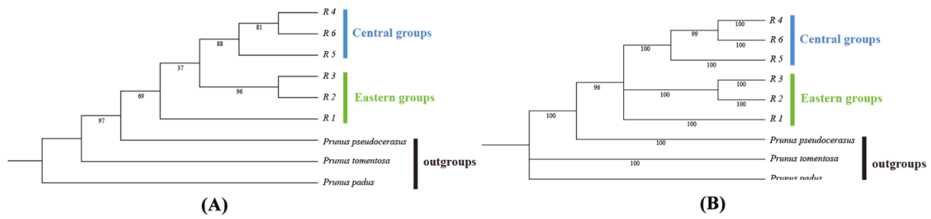 Plants 13 02535 g003