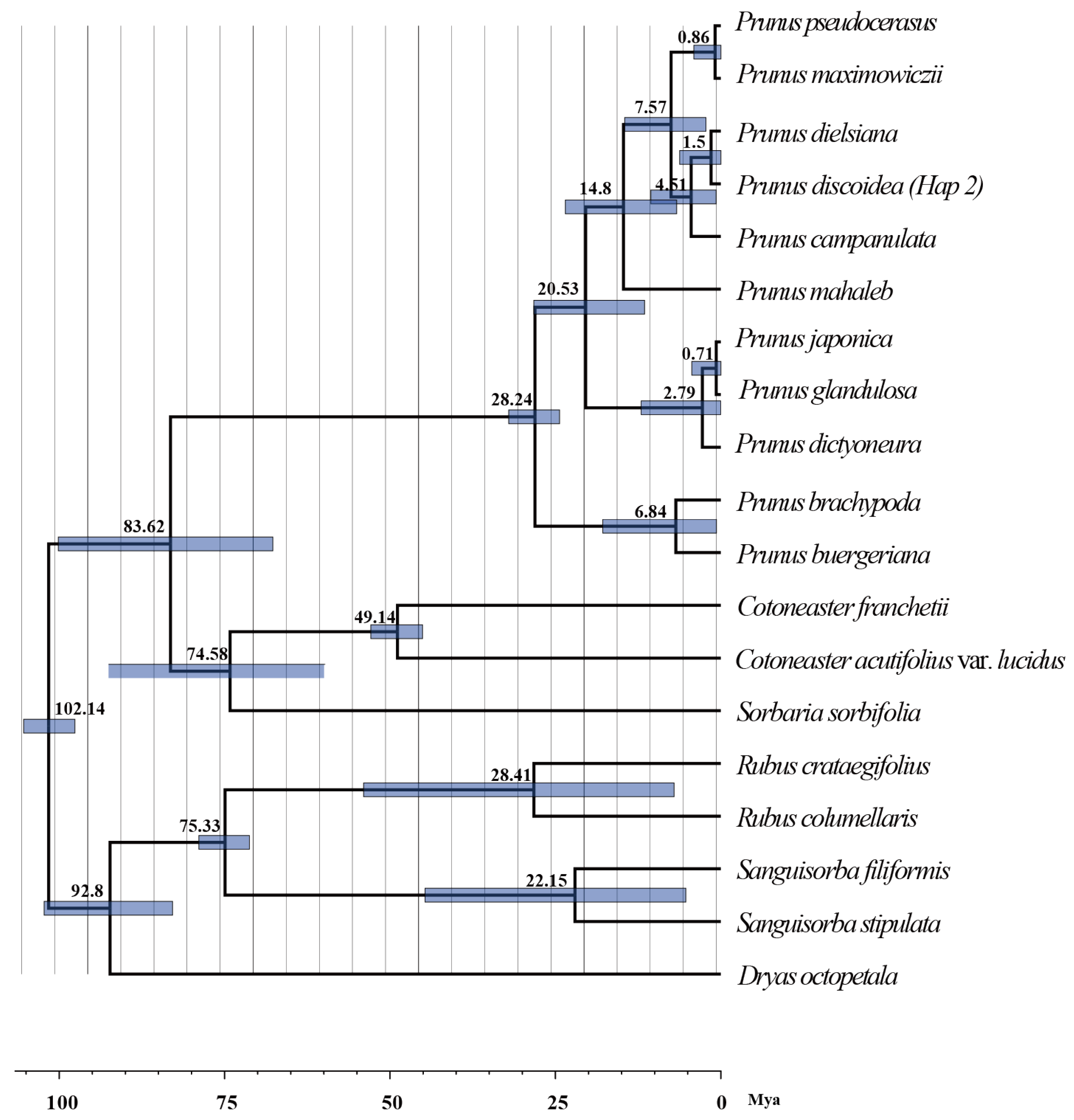 Plants 13 02535 g004