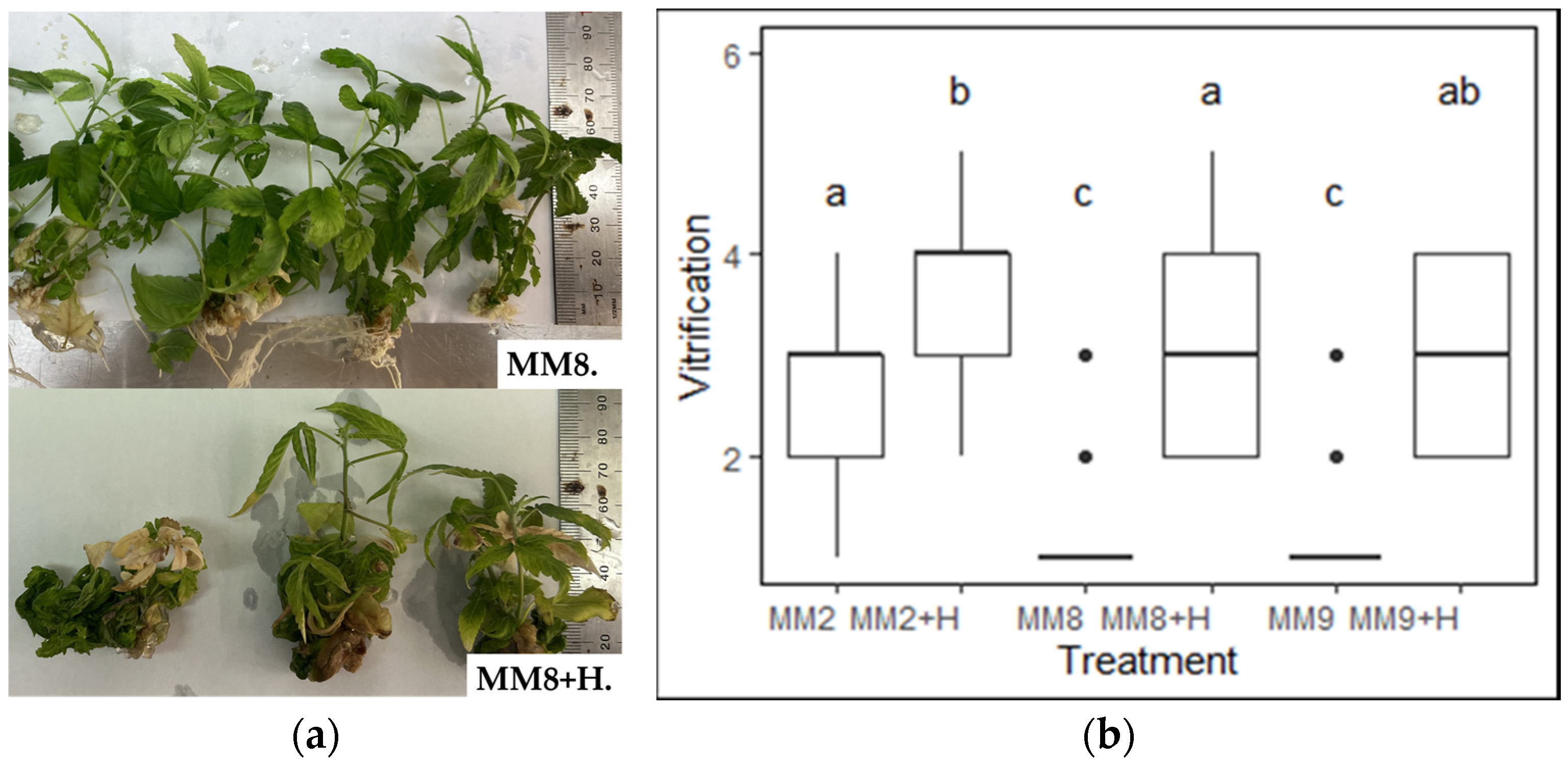Plants 13 02544 g001
