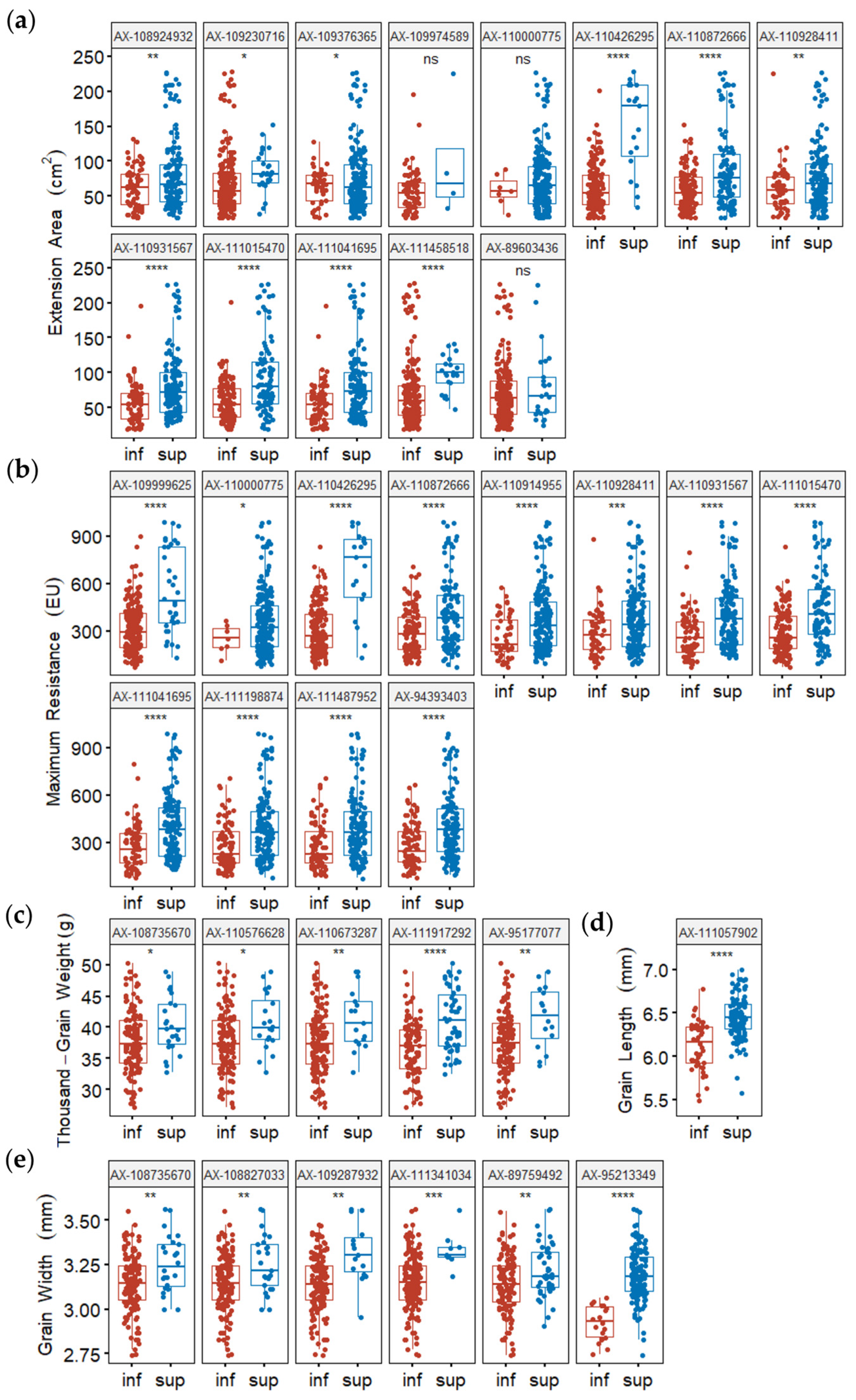 Plants 13 02545 g006