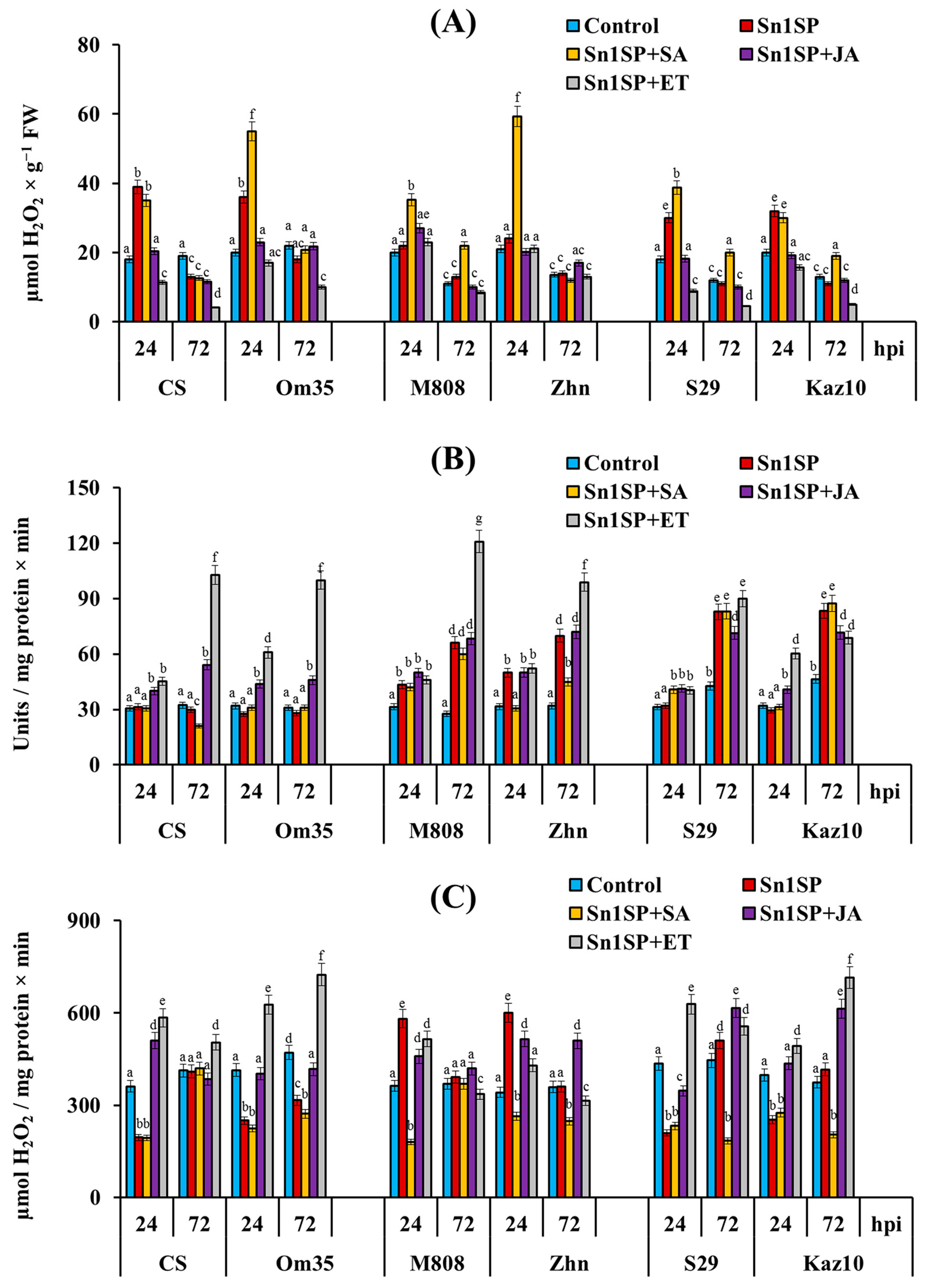 Plants 13 02546 g003