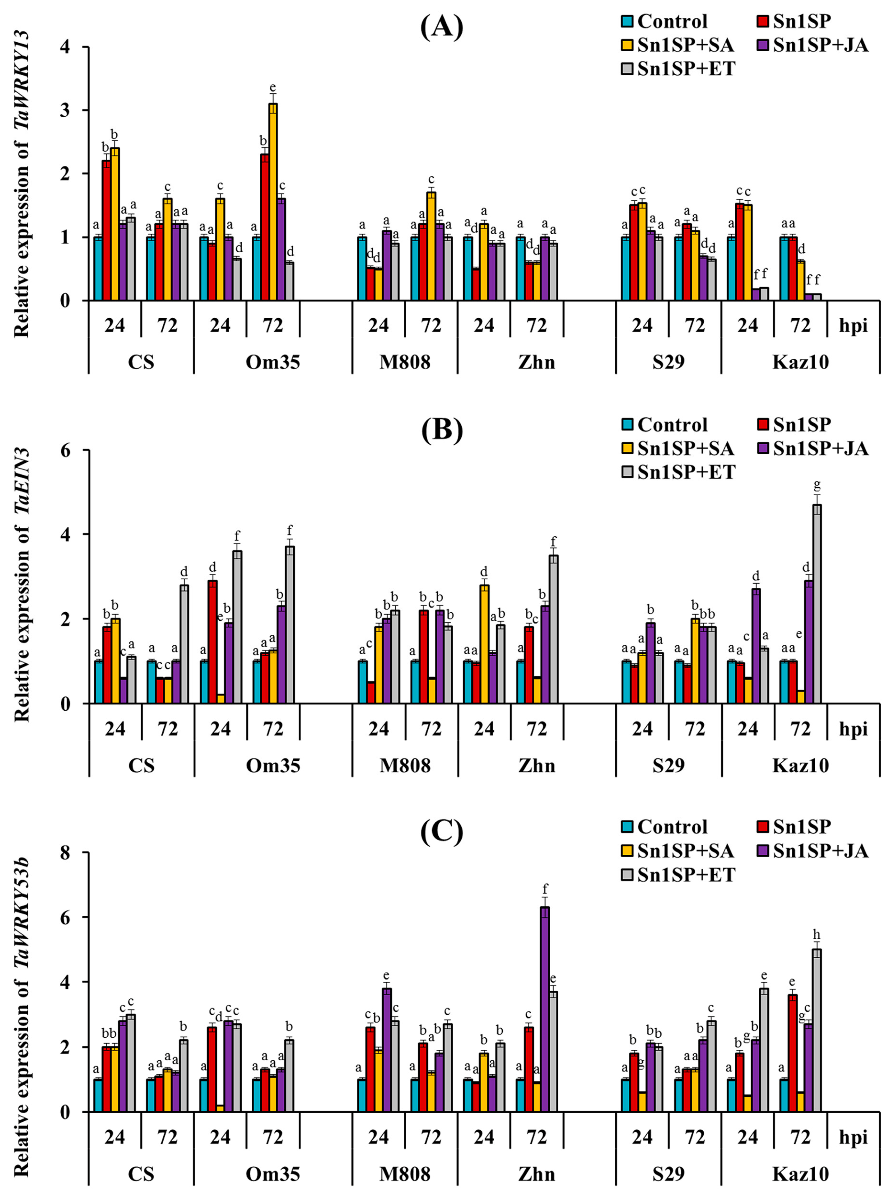 Plants 13 02546 g005