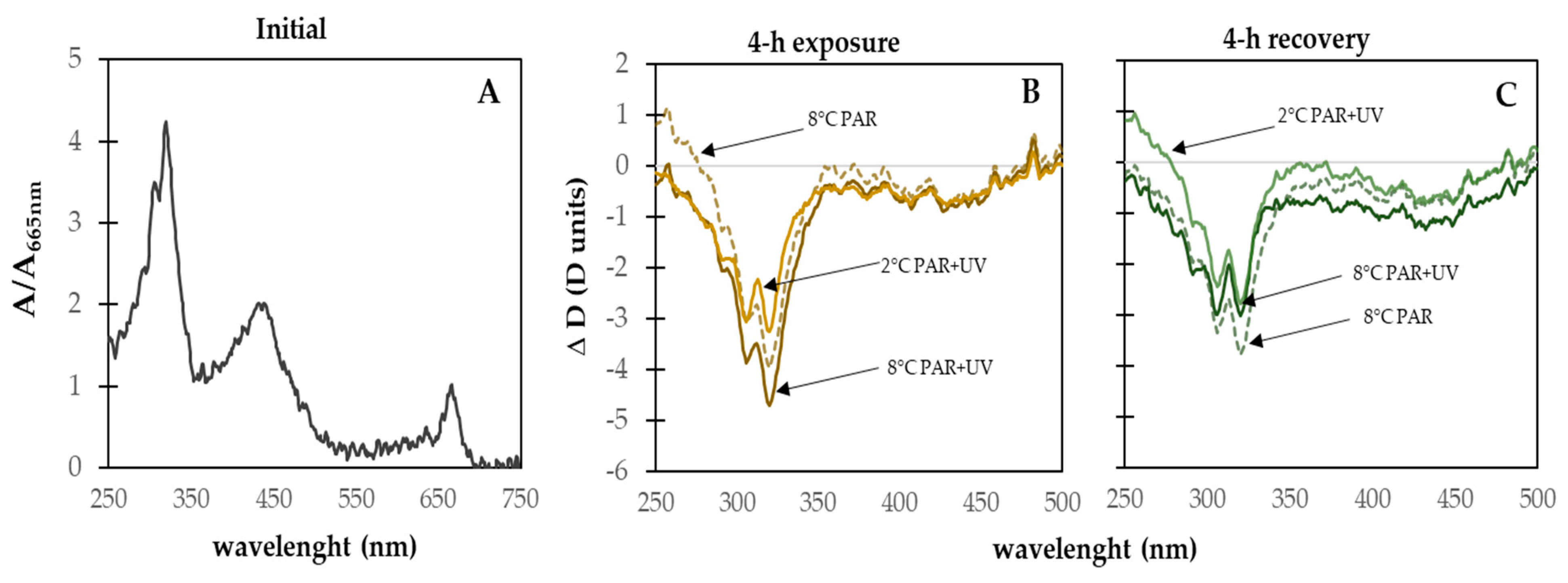 Plants 13 02547 g006