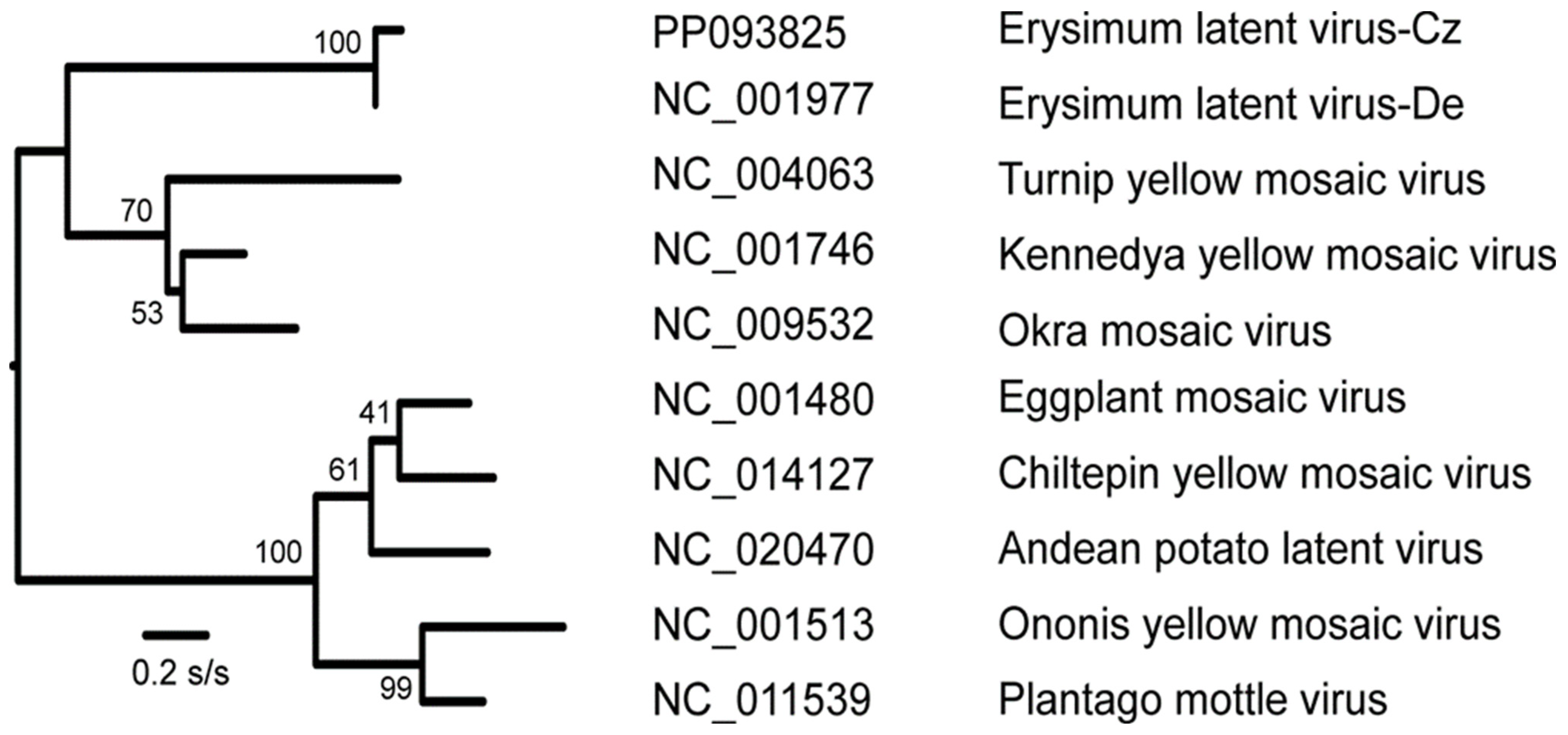 Plants 13 02554 g001